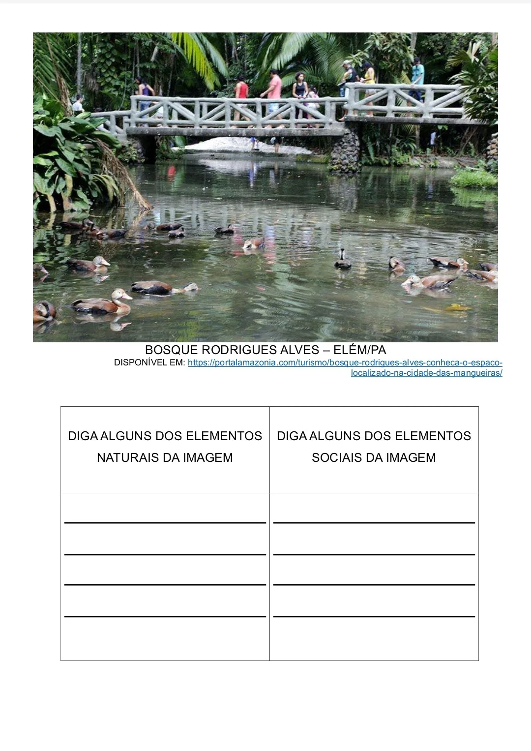 ATIVIDADES ADAPTADAS DE GEOGRAFIA PARA ESTUDANTES TEA, TDAH E DI — amostra 4: Atividades adaptadas de Geografia sobre…