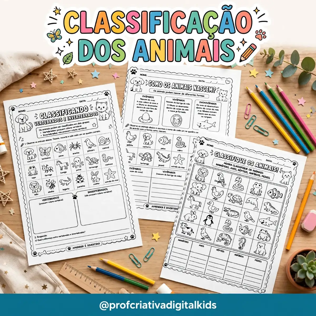 Atividades Classificação dos Animais - Ciências - 1° ano — Ciências para 1º ano: Um material pedagógico pensado para…
