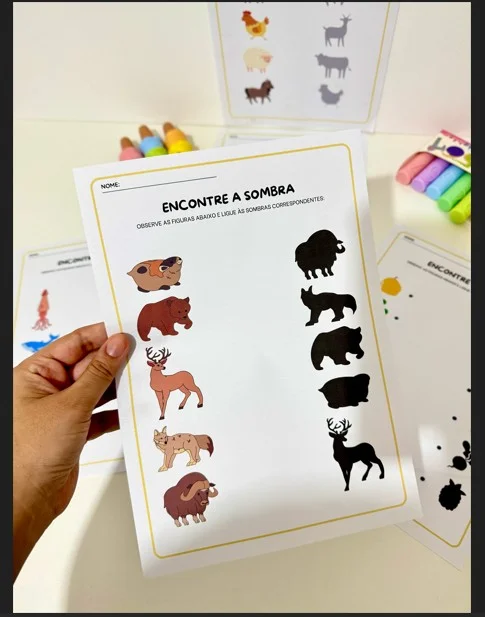 ATIVIDADES LÚDICA COM SOMBRAS - EDUCAÇÃO INFANTIL E FUNDAMENTAL — amostra 3: Atividades para trabalhar percepção visual,… ATIVIDADES LÚDICA COM SOMBRAS - EDUCAÇÃO INFANTIL E FUNDAMENTAL — amostra 3: Atividades para trabalhar percepção visual,…