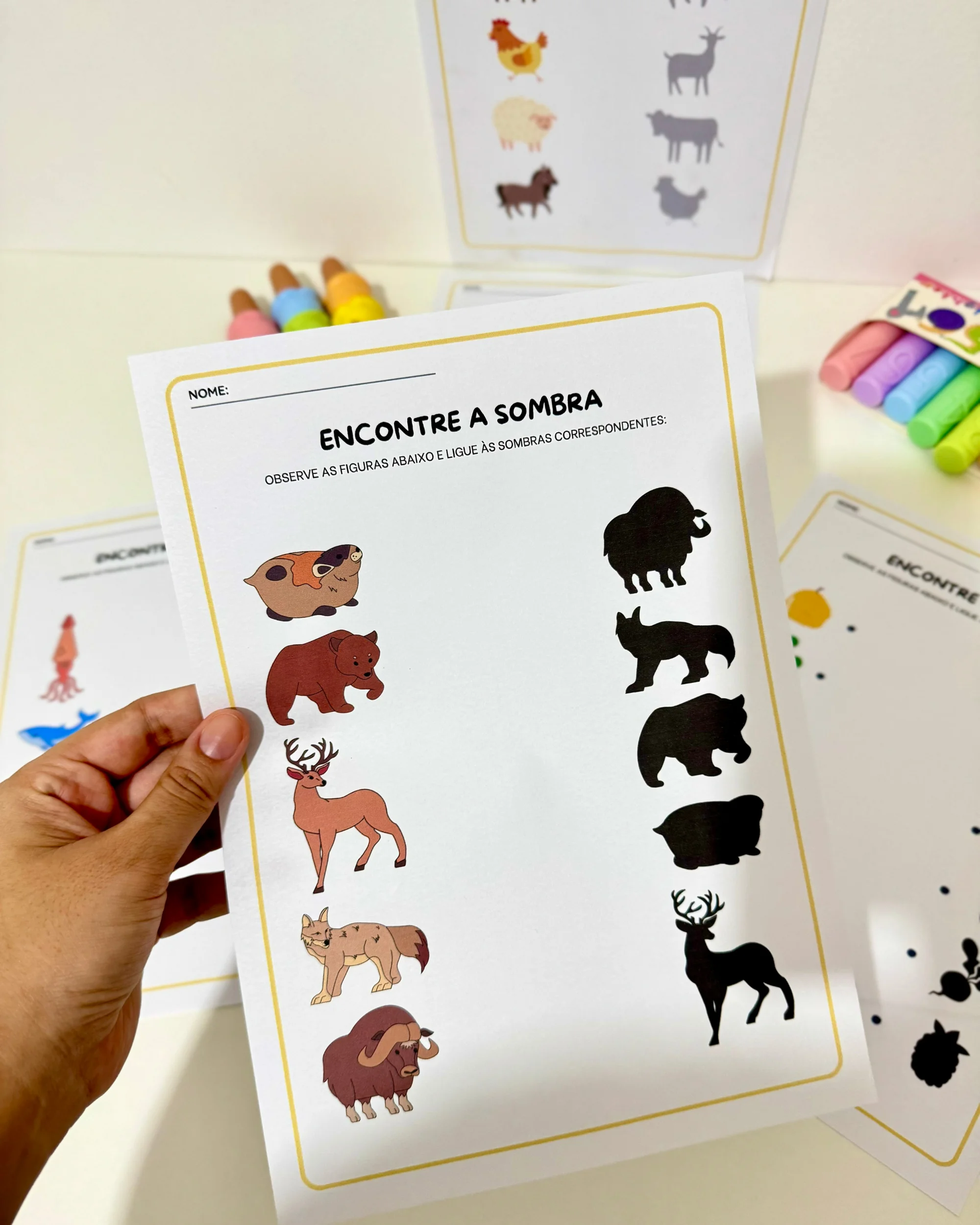 Atividades Sombra Educação Infantil e anos iniciais — amostra 2: Atividades para Educação Infantil e Anos Iniciais com 5…