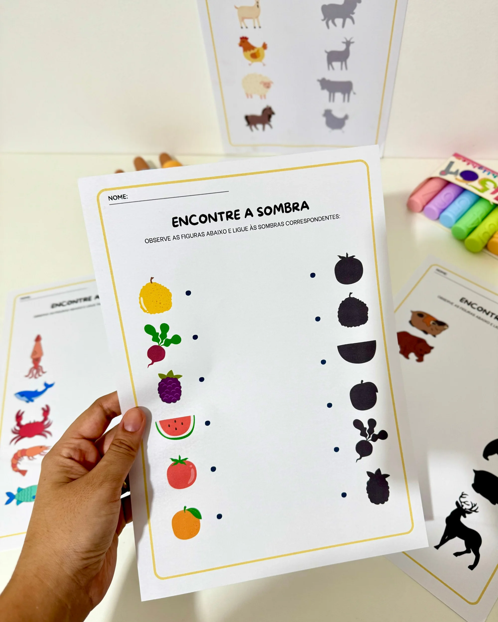 Atividades Sombra Educação Infantil e anos iniciais — amostra 3: Atividades para Educação Infantil e Anos Iniciais com 5…