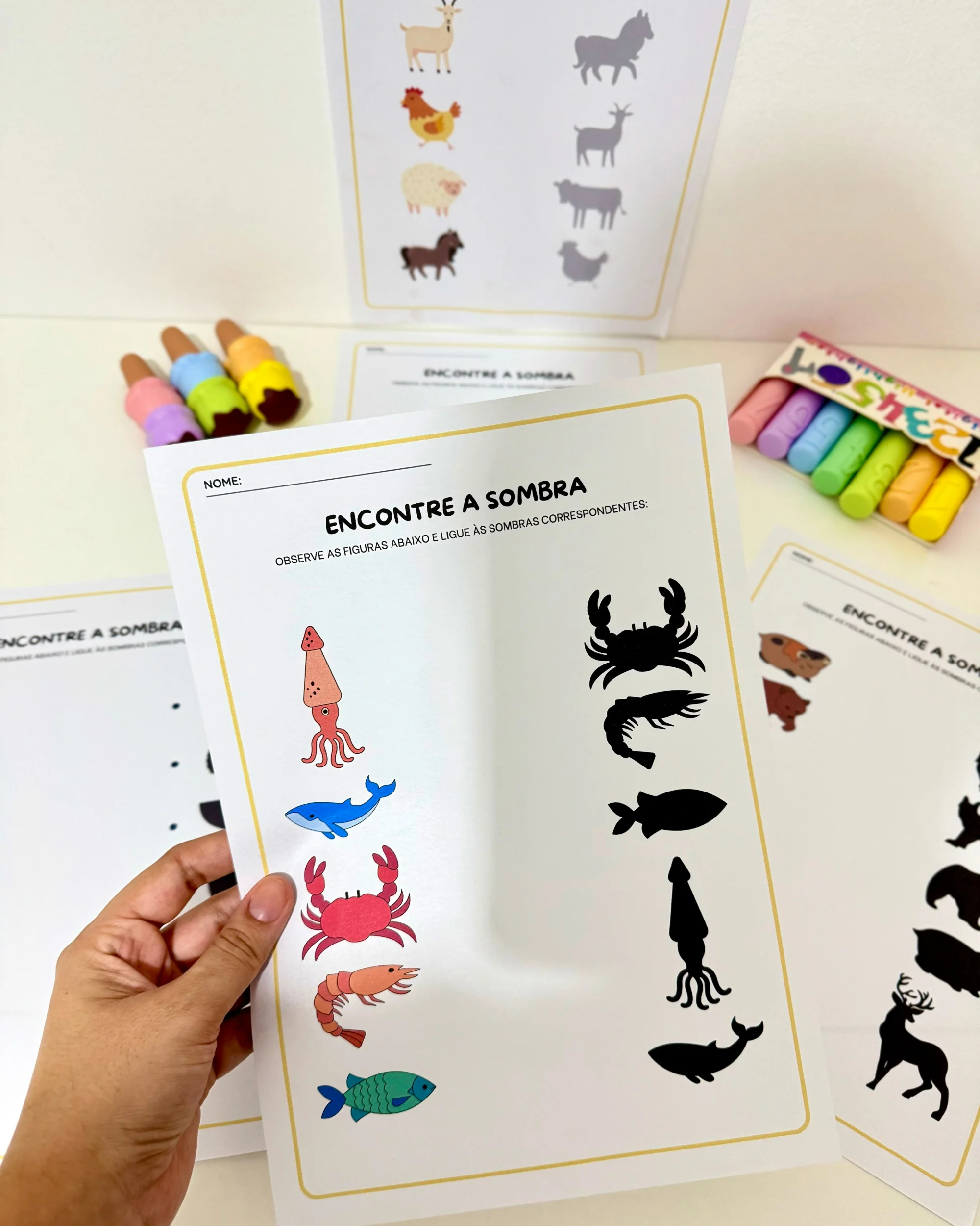 Atividades Sombra Educação Infantil e anos iniciais — capa do material