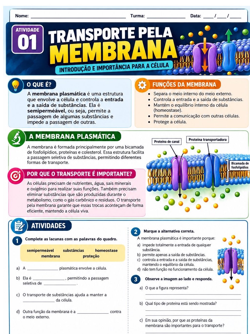 Atividades transporte pela membrana- biologia — amostra 1: Apostila didática sobre Transporte pela Membrana Material pronto…