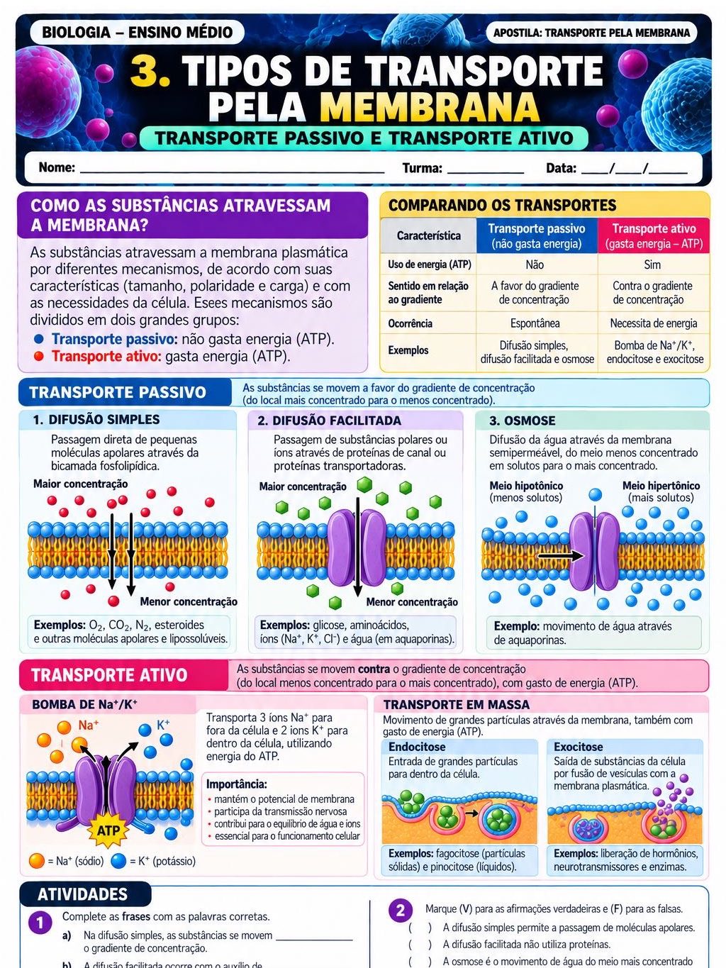Atividades transporte pela membrana- biologia — amostra 2: Apostila didática sobre Transporte pela Membrana Material pronto…