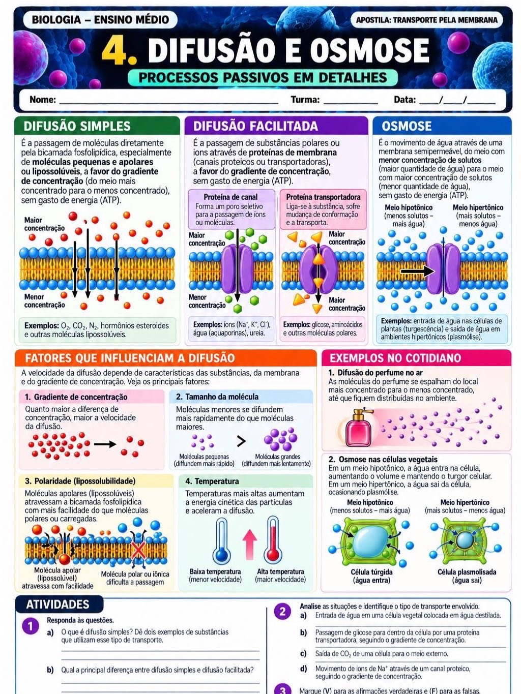 Atividades transporte pela membrana- biologia — amostra 3: Apostila didática sobre Transporte pela Membrana Material pronto…