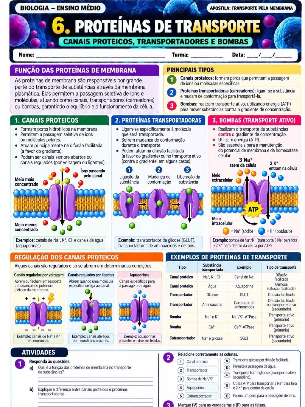 Atividades transporte pela membrana- biologia — amostra 4: Apostila didática sobre Transporte pela Membrana Material pronto…
