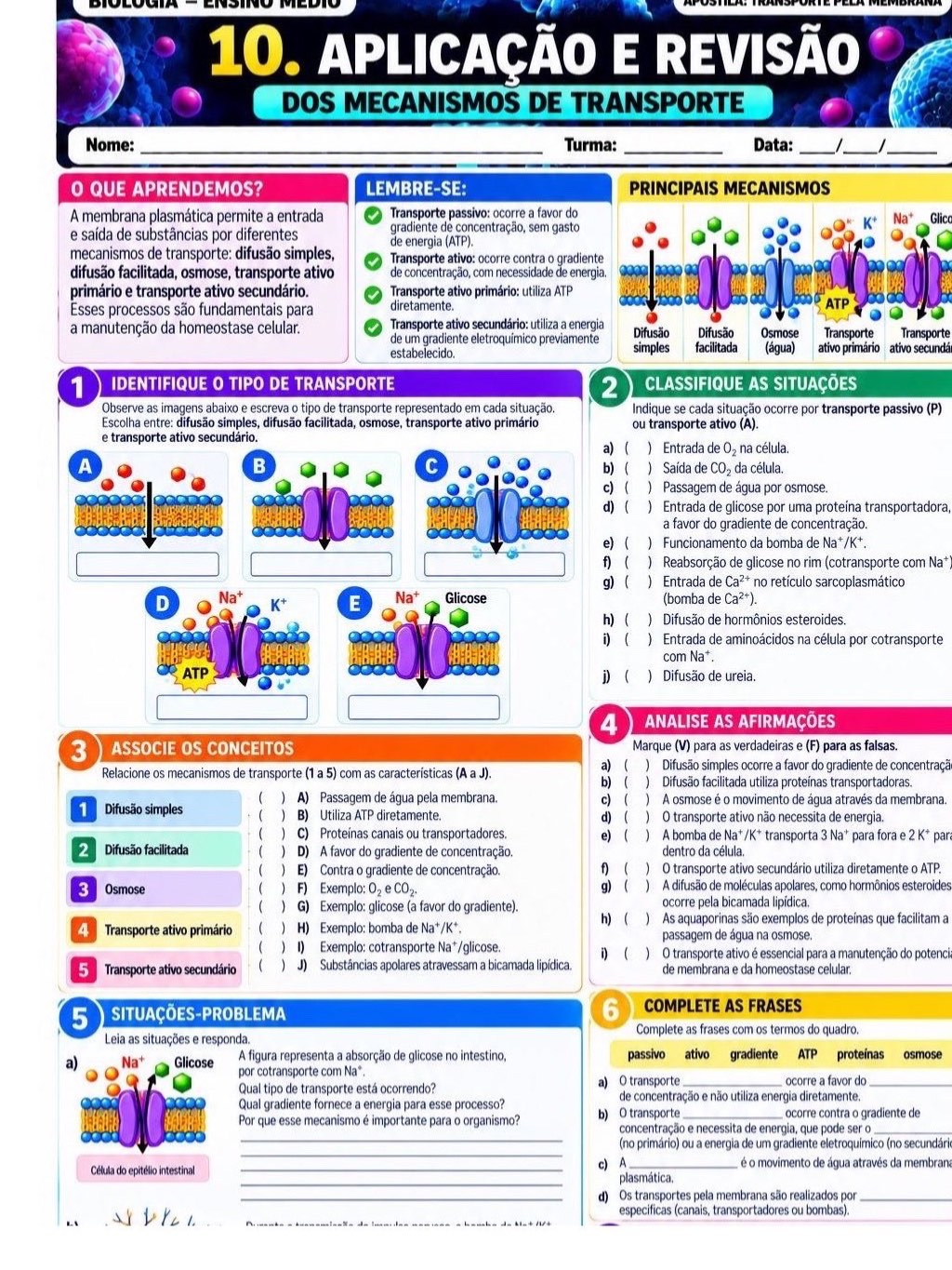 Atividades transporte pela membrana- biologia — amostra 5: Apostila didática sobre Transporte pela Membrana Material pronto…