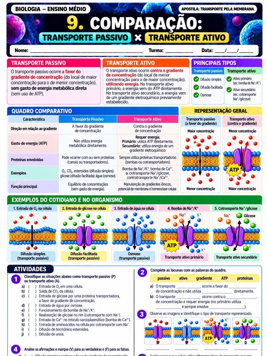 Atividades transporte pela membrana- biologia — amostra 6: Apostila didática sobre Transporte pela Membrana Material pronto…
