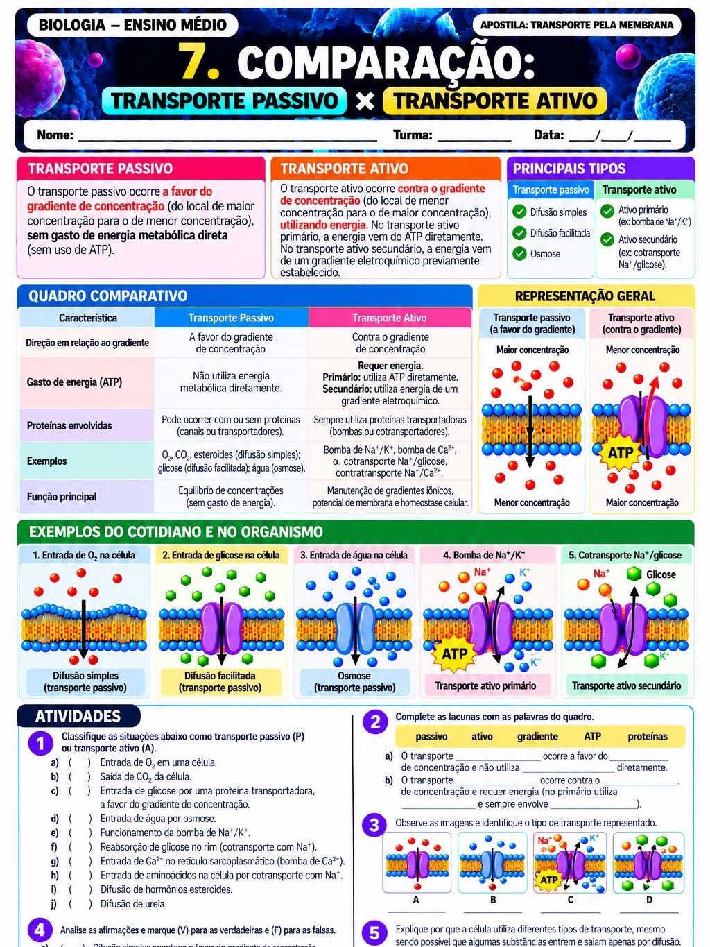 Atividades transporte pela membrana- biologia — amostra 7: Apostila didática sobre Transporte pela Membrana Material pronto…