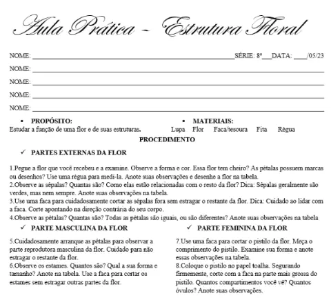 Aula Prática - estruturas florais — capa do material