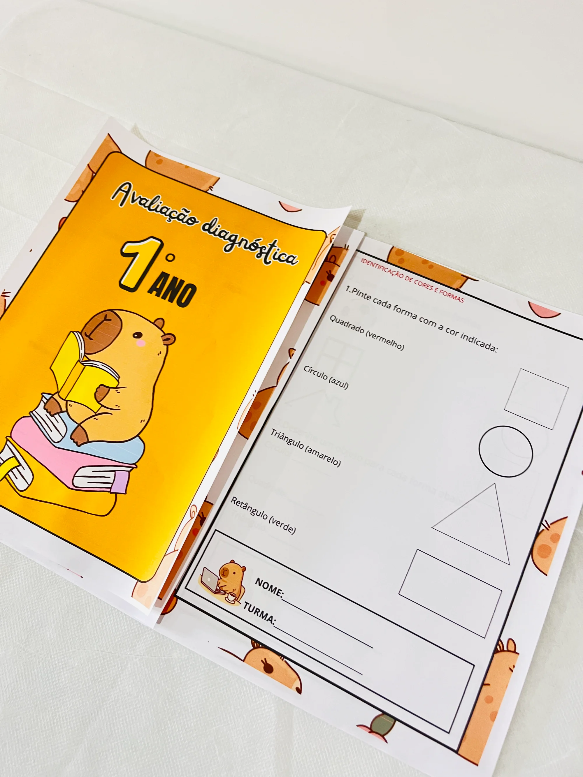 ✨📘 AVALIAÇÃO DIAGNÓSTICA – 1º ANO 📘✨ CAPIVARA ANOS INICIAIS — amostra 1: A Avaliação Diagnóstica para o 1º Ano foi…