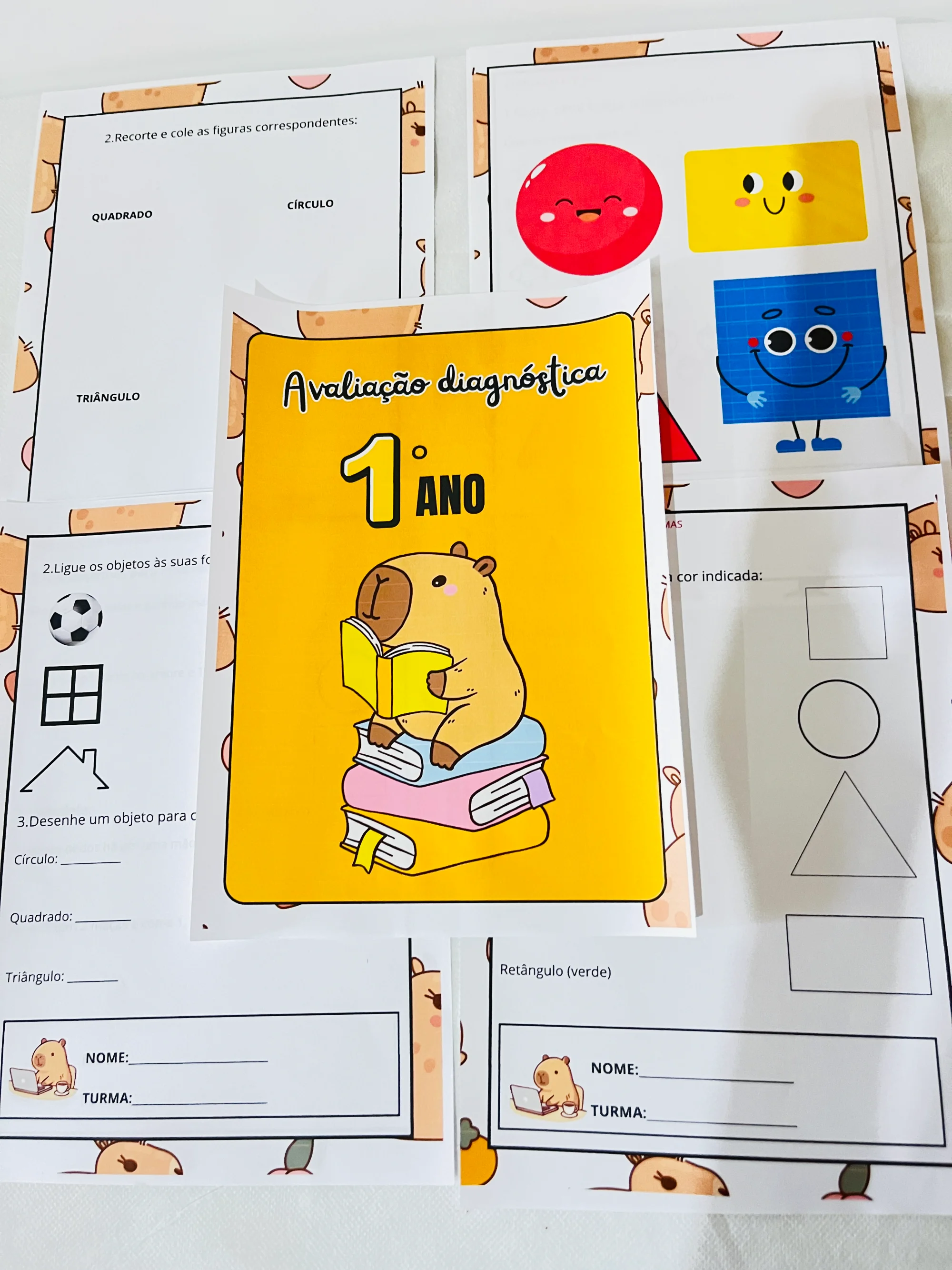✨📘 AVALIAÇÃO DIAGNÓSTICA – 1º ANO 📘✨ CAPIVARA ANOS INICIAIS — amostra 2: A Avaliação Diagnóstica para o 1º Ano foi…