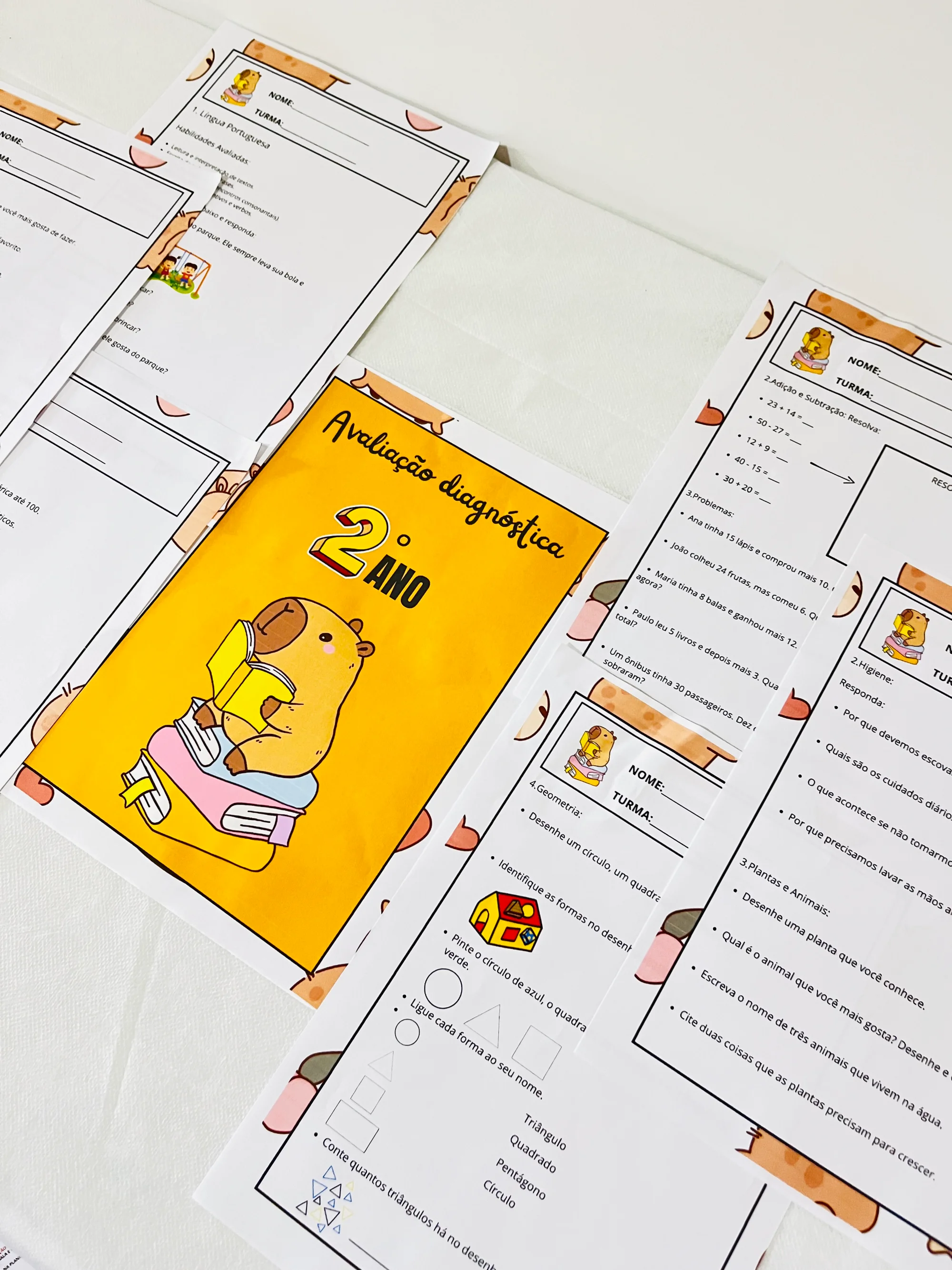 ✨📘 AVALIAÇÃO DIAGNÓSTICA – 2º ANO 📘✨CAPIVARA ANOS INICIAIS — amostra 6: A Avaliação Diagnóstica para o 2º Ano foi…