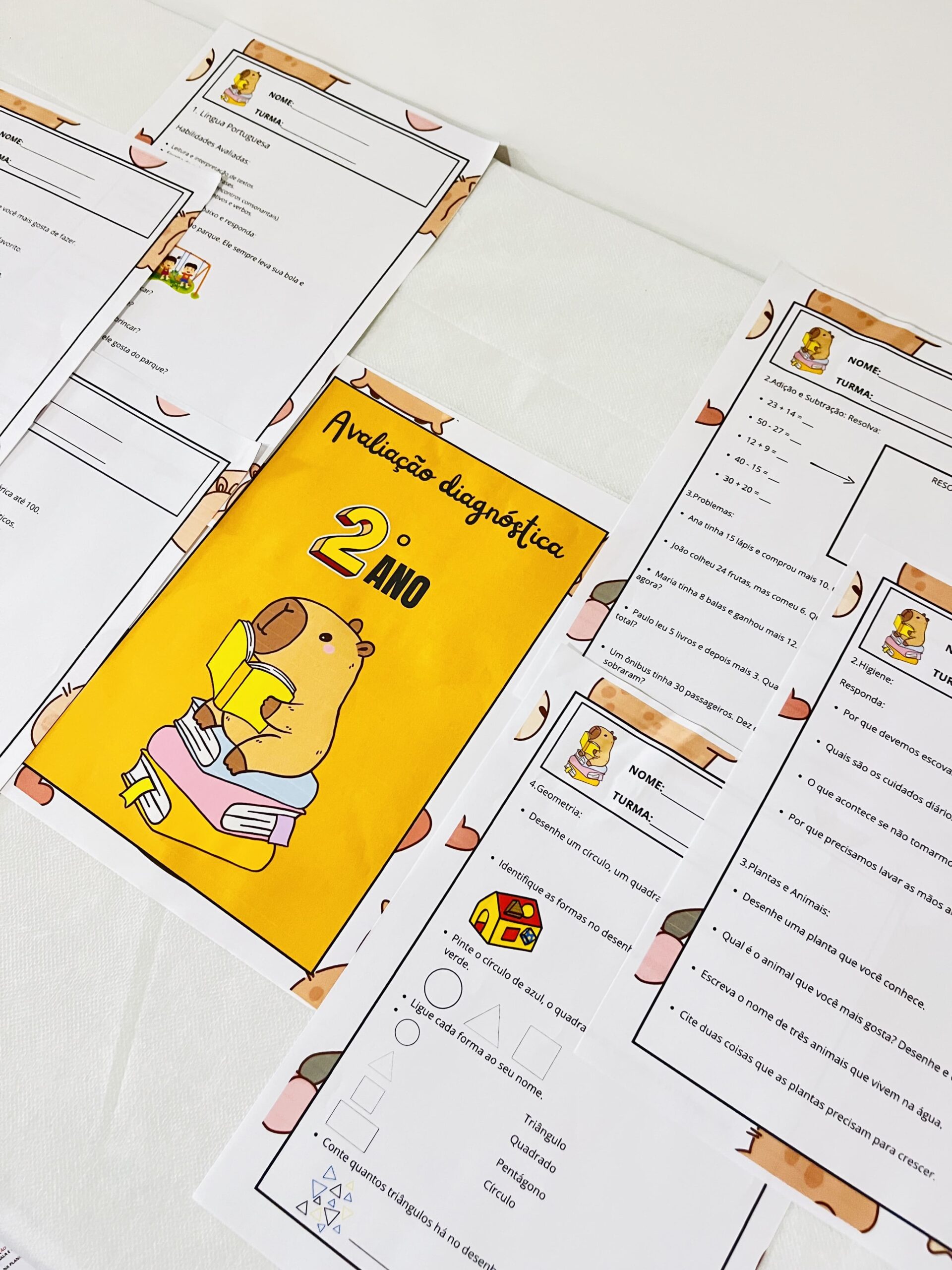 Avaliação diagnóstica 2° ano – PDF para Imprimir | 2º ano — amostra 2: Para quem é indicado