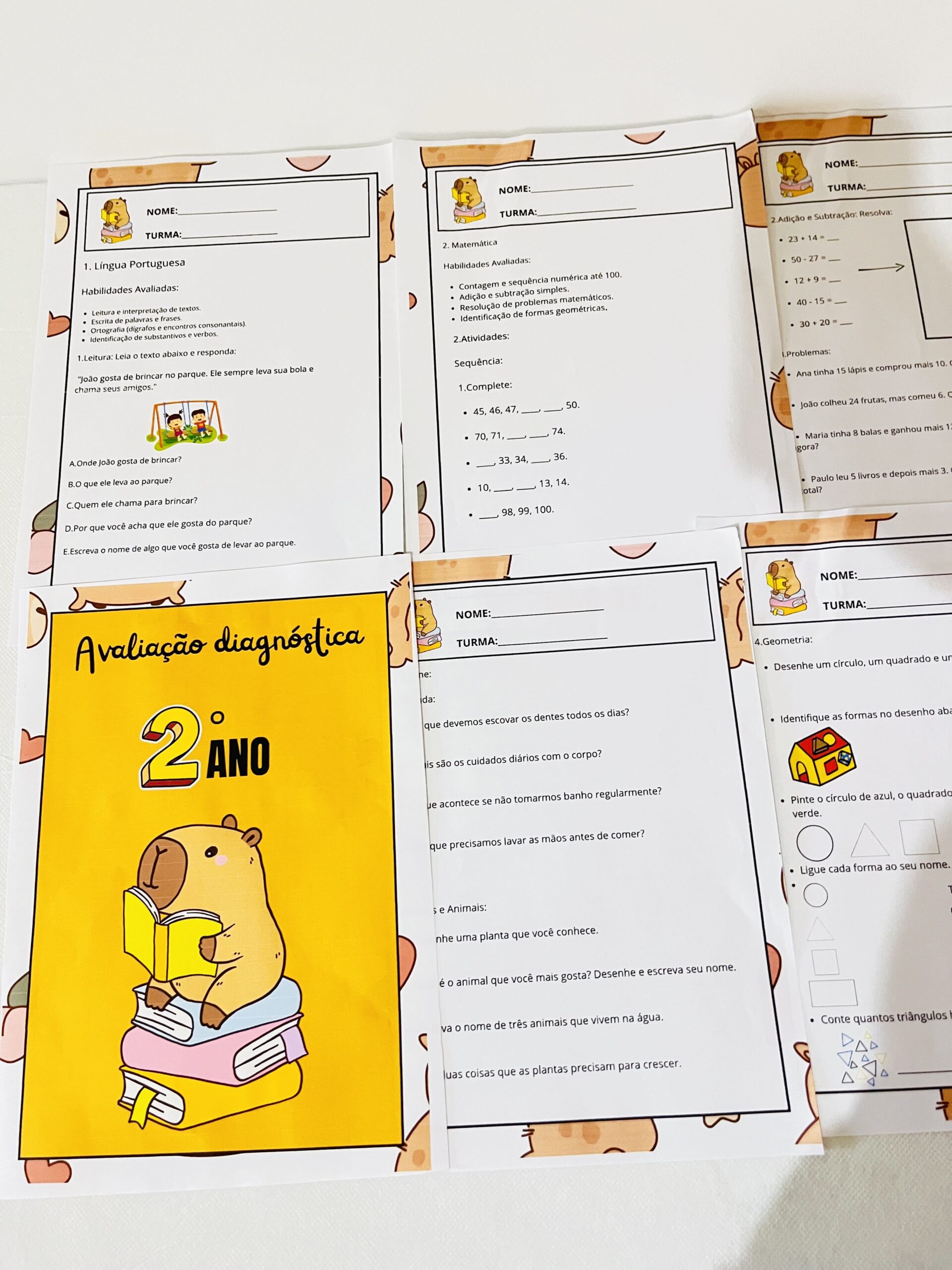 Avaliação diagnóstica 2° ano – PDF para Imprimir | 2º ano — amostra 3: Formato e entrega