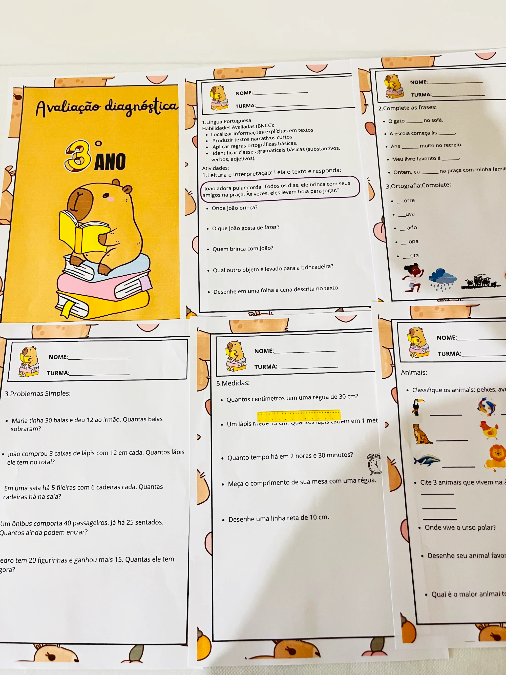 ✨📘 AVALIAÇÃO DIAGNÓSTICA – 3º ANO 📘✨CAPIVARA ANOS INICIAIS — amostra 3: A Avaliação Diagnóstica para o 3º Ano foi…