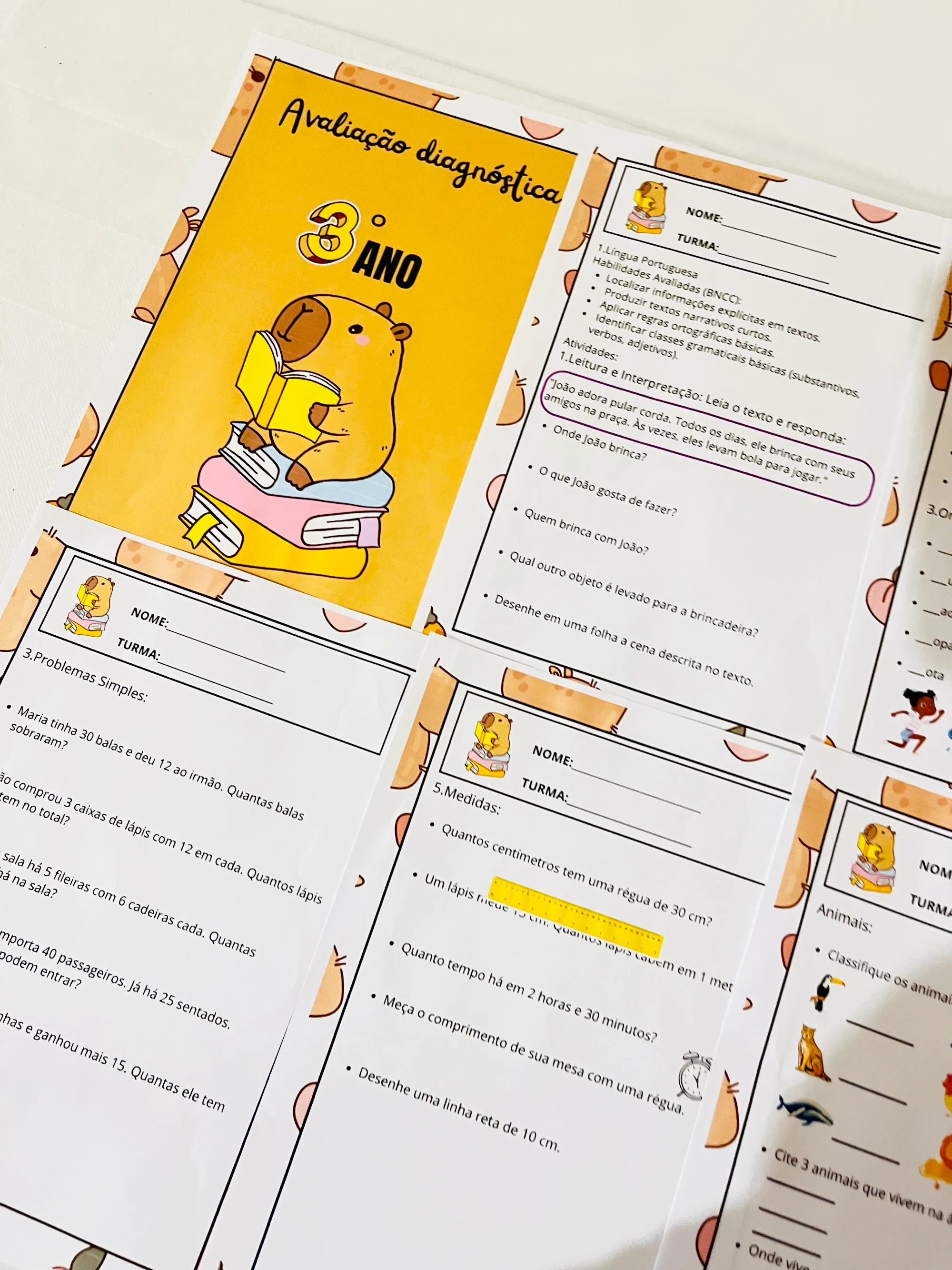 ✨📘 AVALIAÇÃO DIAGNÓSTICA – 3º ANO 📘✨CAPIVARA ANOS INICIAIS — amostra 4: A Avaliação Diagnóstica para o 3º Ano foi…