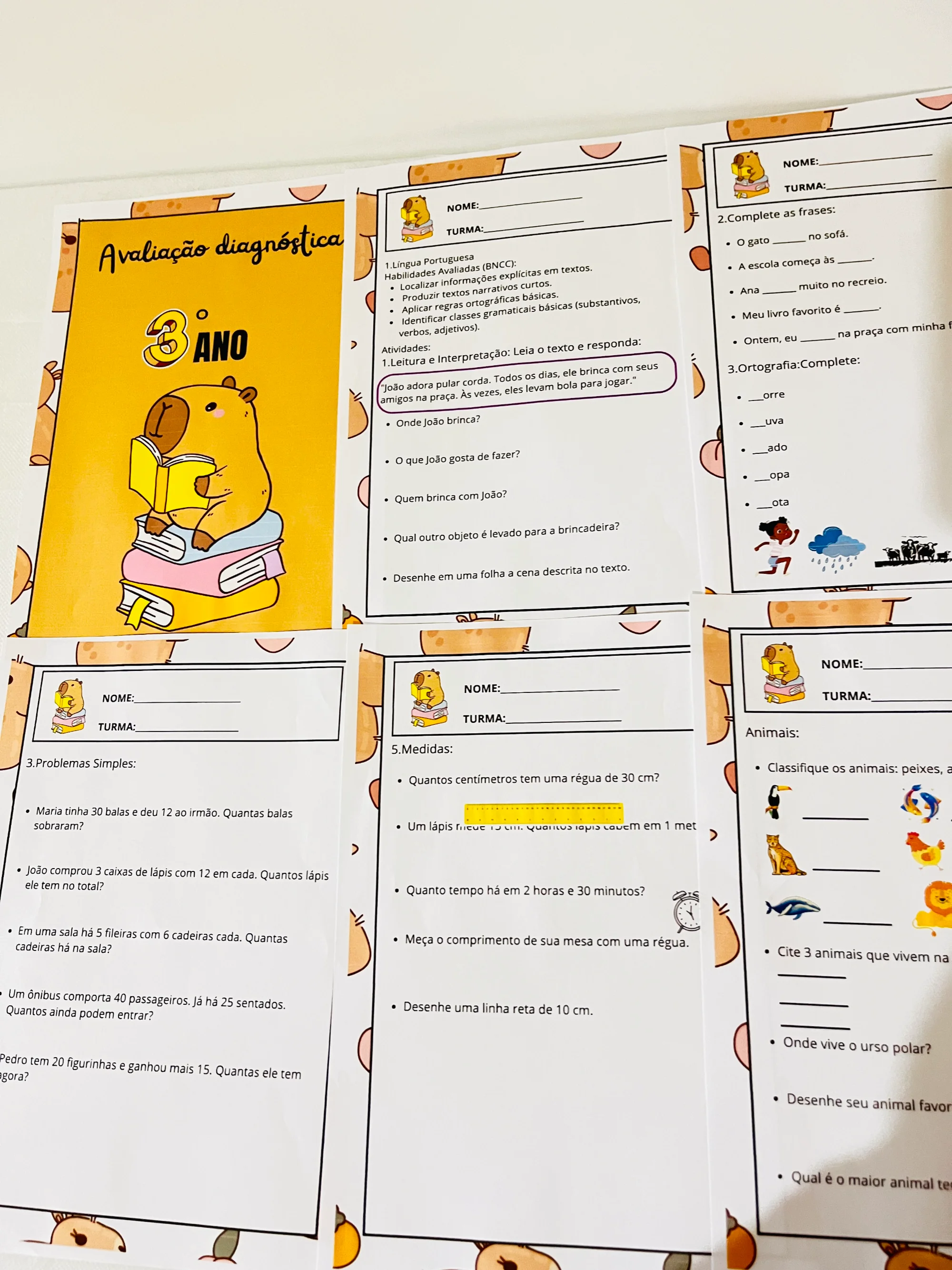 ✨📘 AVALIAÇÃO DIAGNÓSTICA – 3º ANO 📘✨CAPIVARA ANOS INICIAIS — amostra 5: A Avaliação Diagnóstica para o 3º Ano foi…