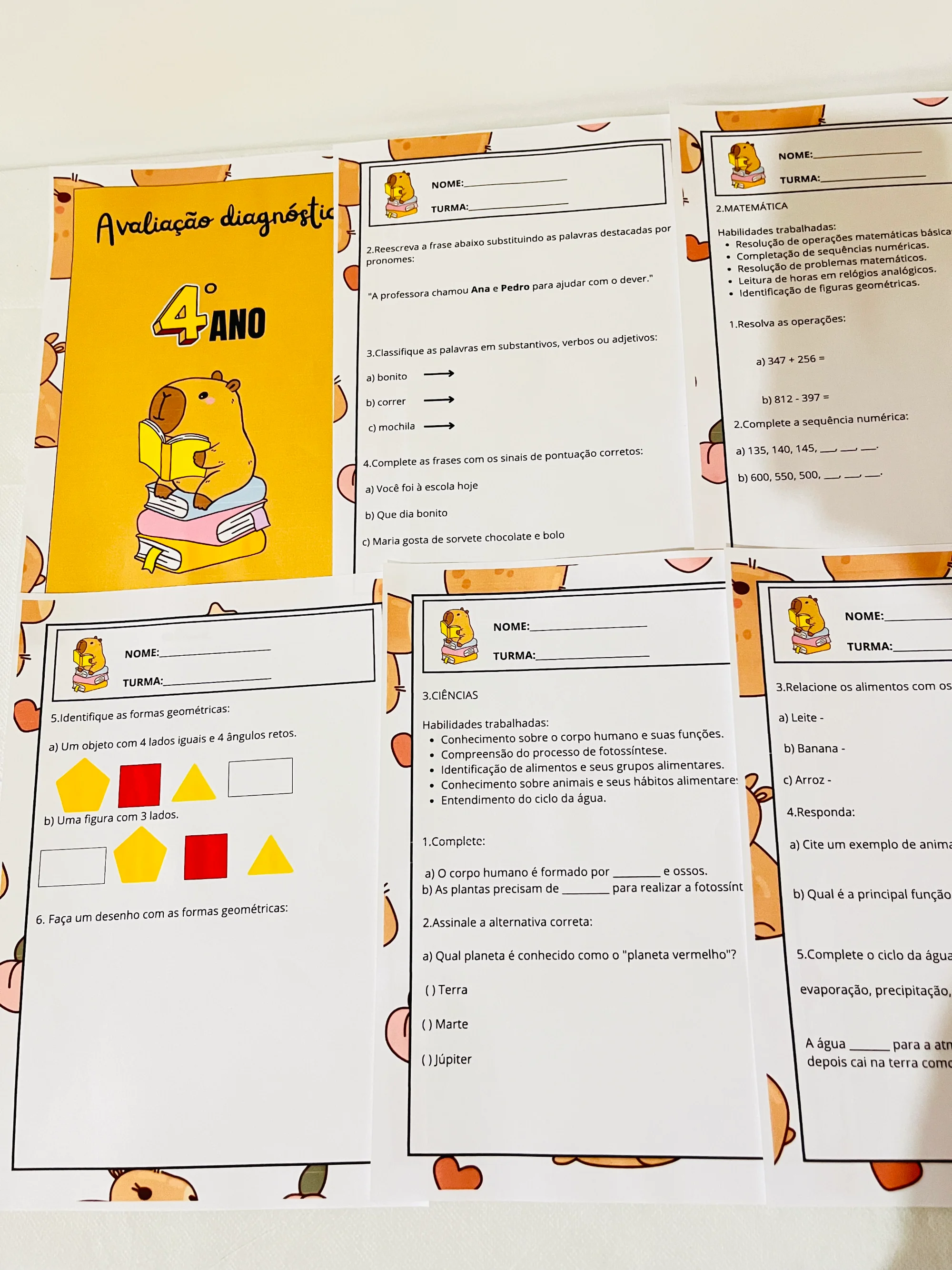 ✨📘 AVALIAÇÃO DIAGNÓSTICA – 4º ANO 📘✨CAPIVARA ANOS INICIAIS — amostra 2: A Avaliação Diagnóstica para o 4º Ano foi…