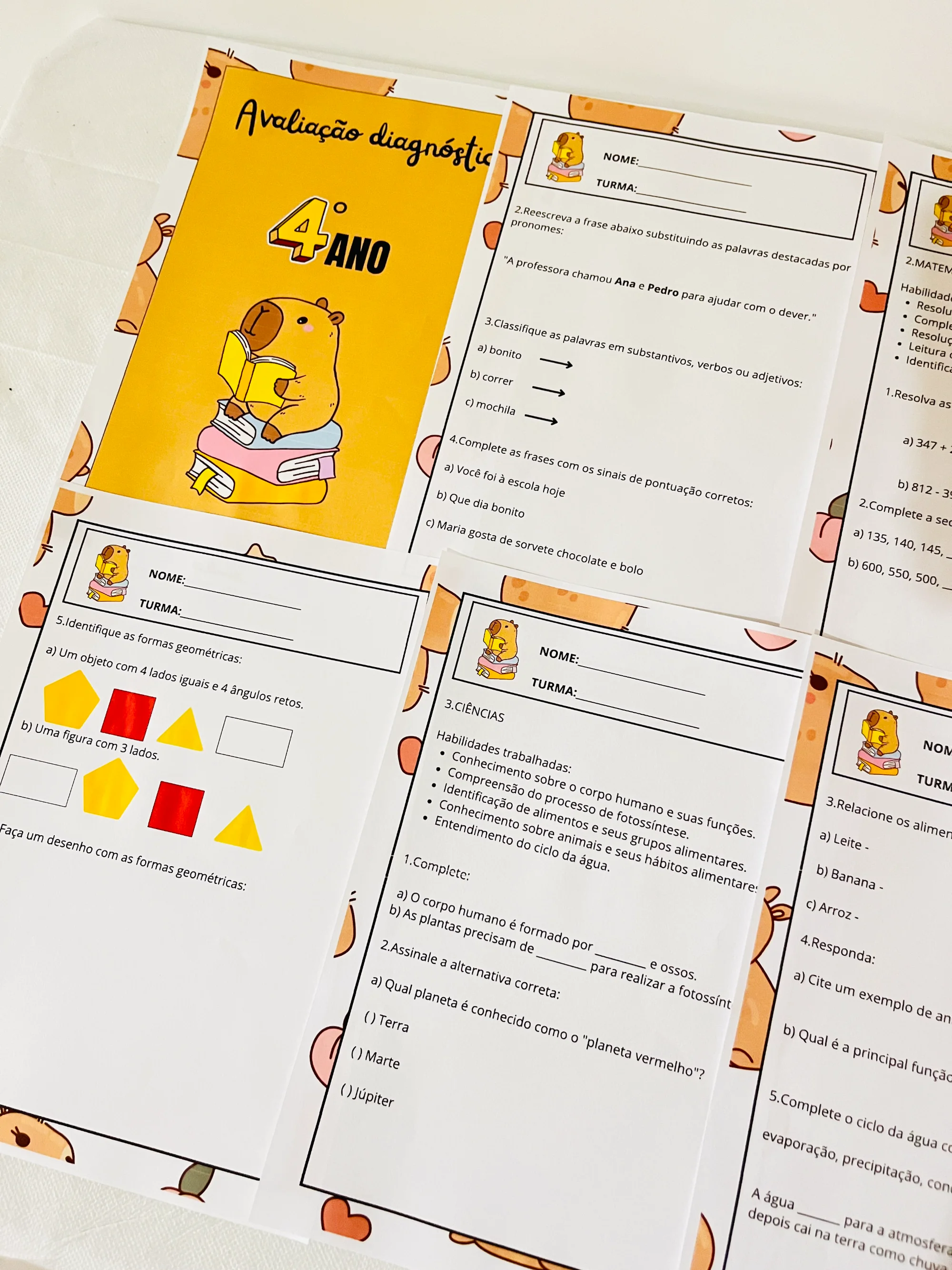 ✨📘 AVALIAÇÃO DIAGNÓSTICA – 4º ANO 📘✨CAPIVARA ANOS INICIAIS — amostra 3: A Avaliação Diagnóstica para o 4º Ano foi…