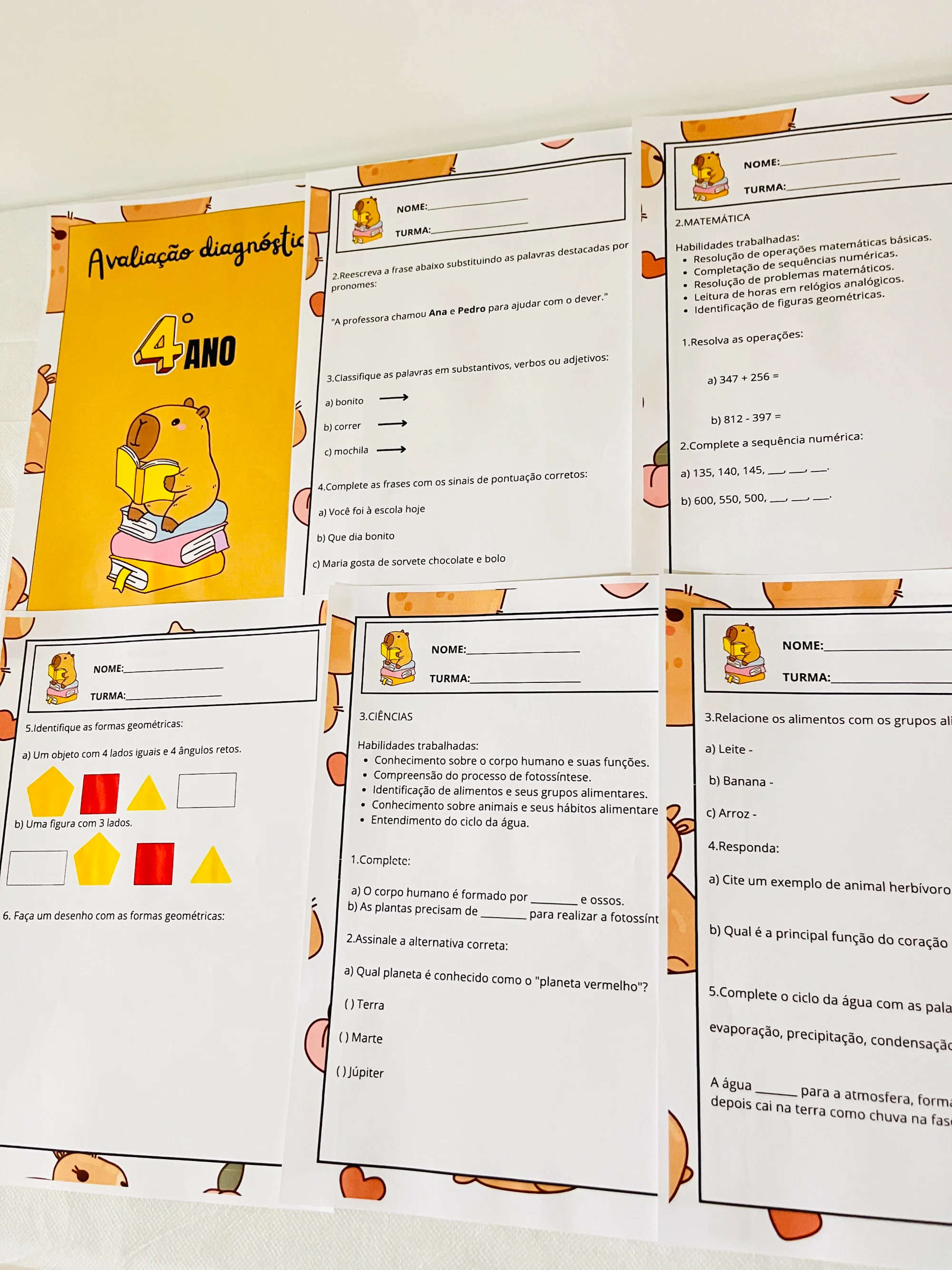 ✨📘 AVALIAÇÃO DIAGNÓSTICA – 4º ANO 📘✨CAPIVARA ANOS INICIAIS — amostra 4: A Avaliação Diagnóstica para o 4º Ano foi…