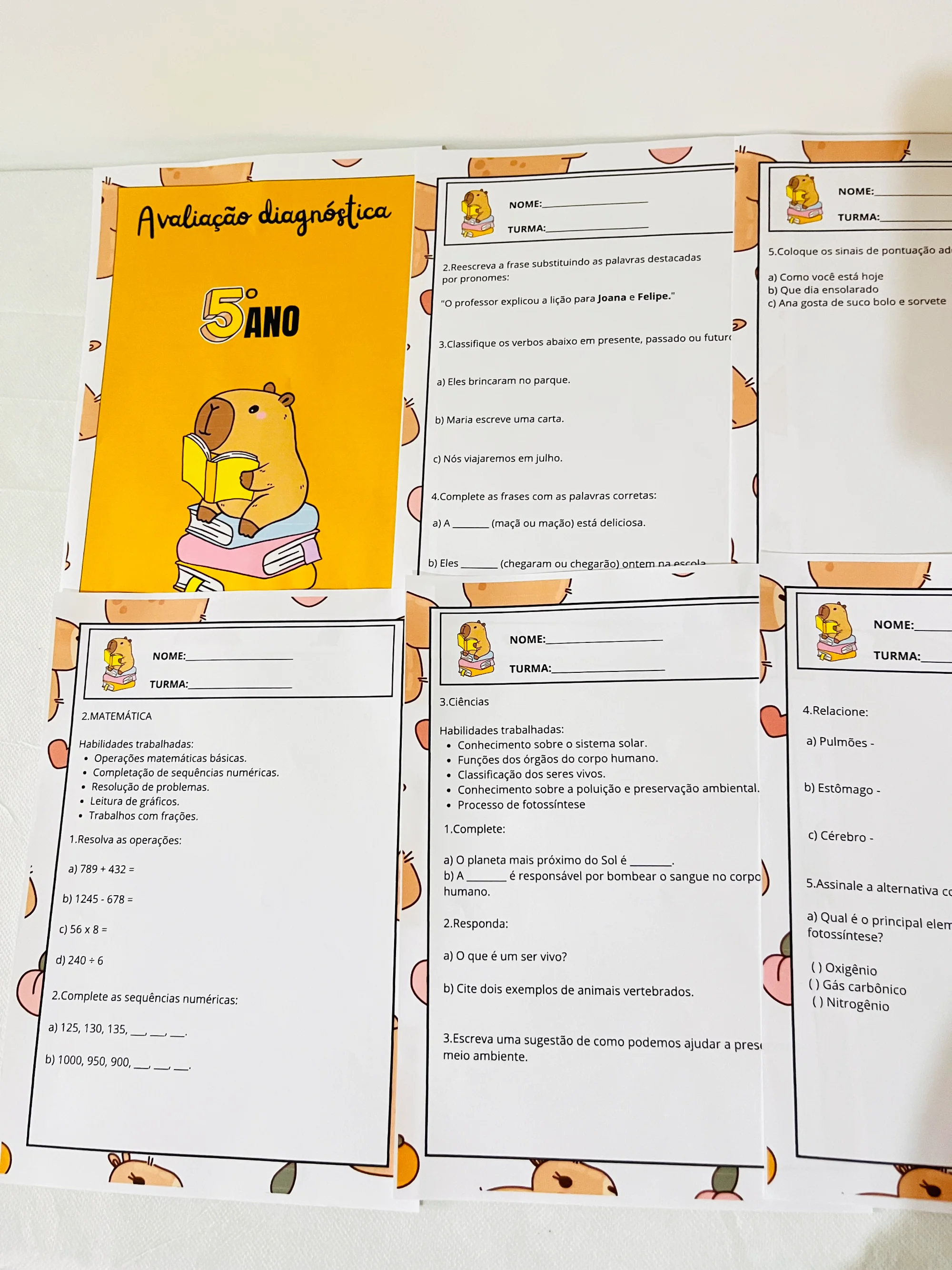 ✨📘 AVALIAÇÃO DIAGNÓSTICA – 5º ANO 📘✨CAPIVARA ANOS INICIAIS — amostra 1: A Avaliação Diagnóstica para o 5º Ano foi…