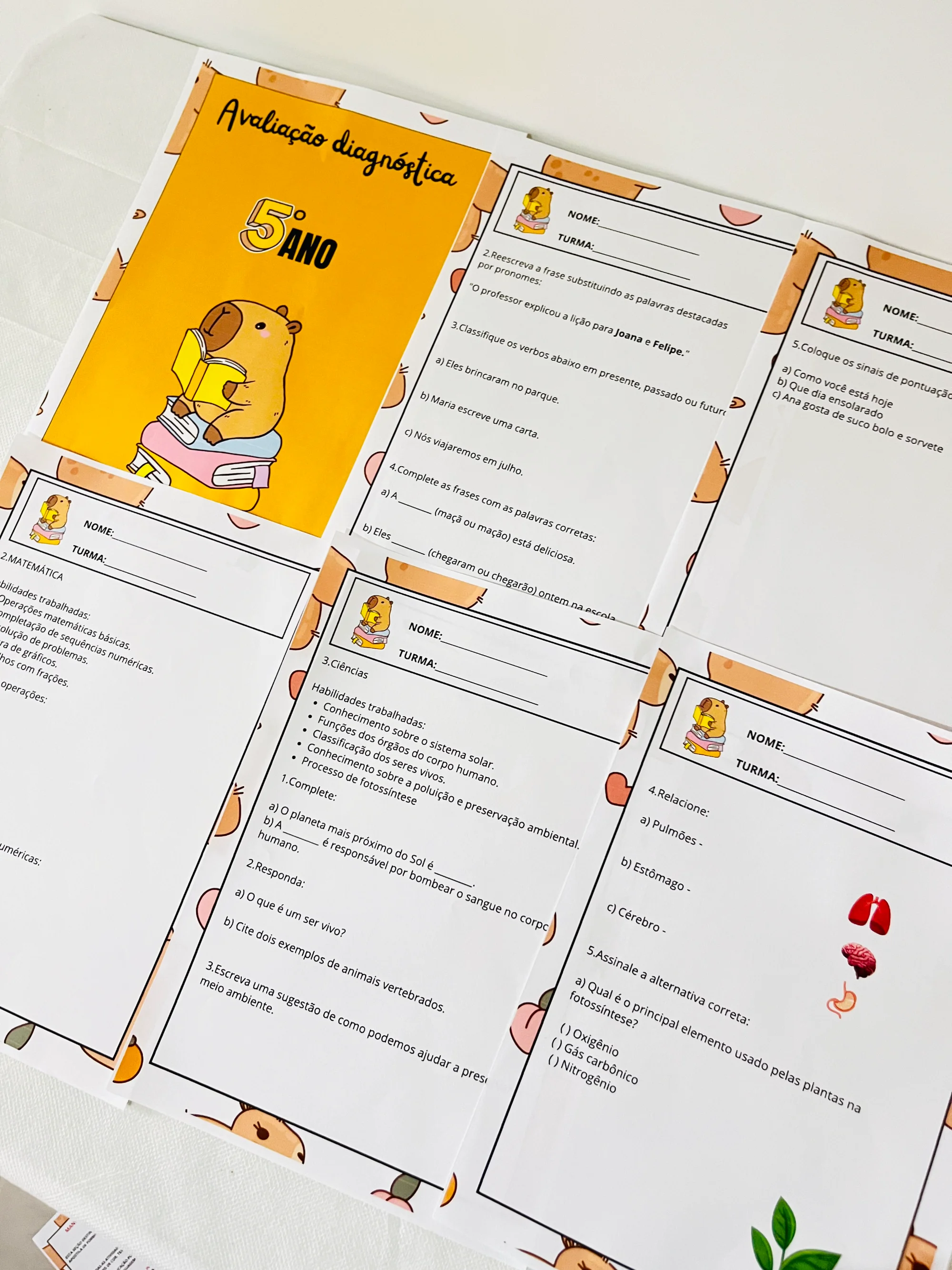 ✨📘 AVALIAÇÃO DIAGNÓSTICA – 5º ANO 📘✨CAPIVARA ANOS INICIAIS — amostra 2: A Avaliação Diagnóstica para o 5º Ano foi…