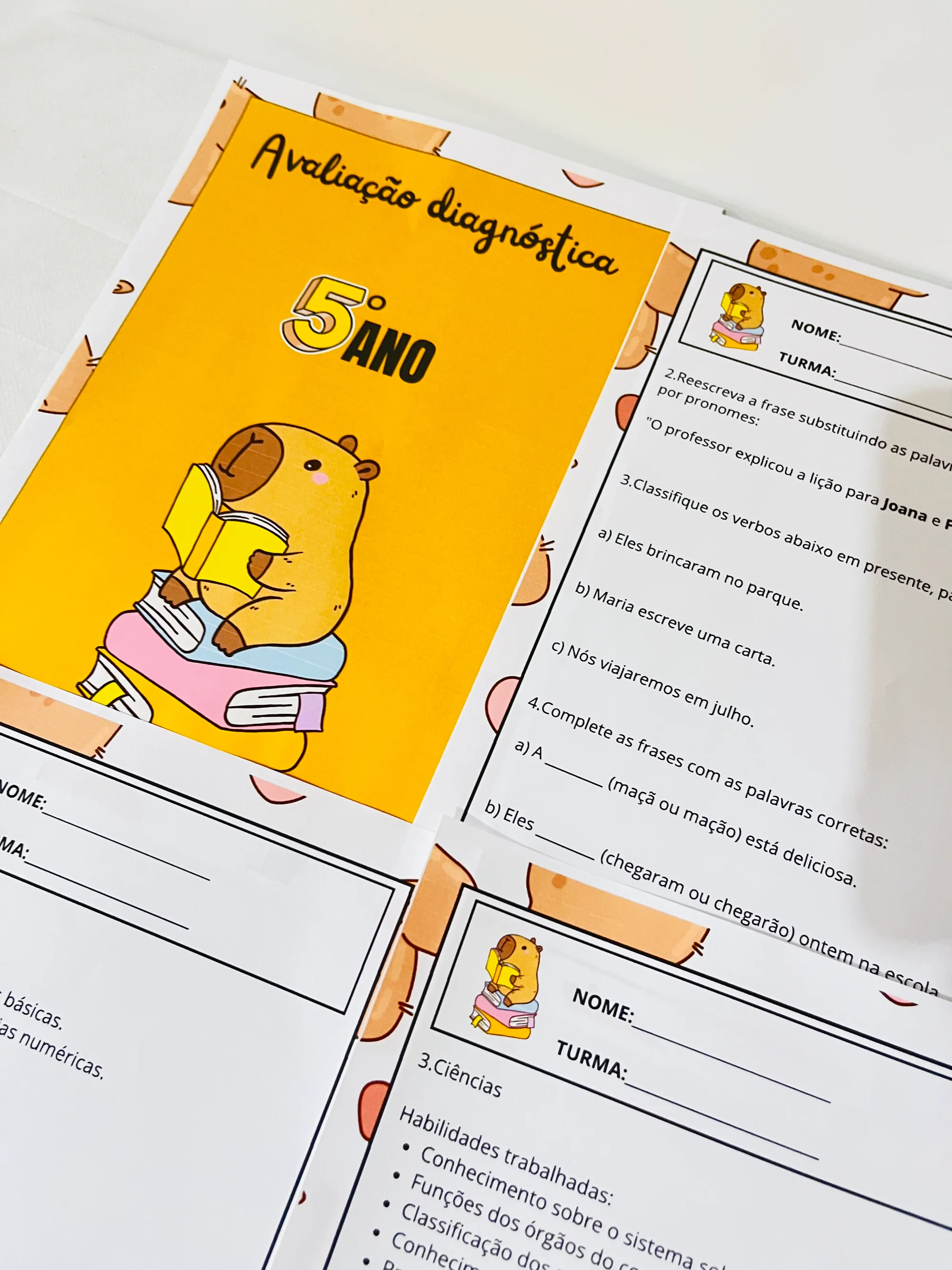 ✨📘 AVALIAÇÃO DIAGNÓSTICA – 5º ANO 📘✨CAPIVARA ANOS INICIAIS — amostra 4: A Avaliação Diagnóstica para o 5º Ano foi…