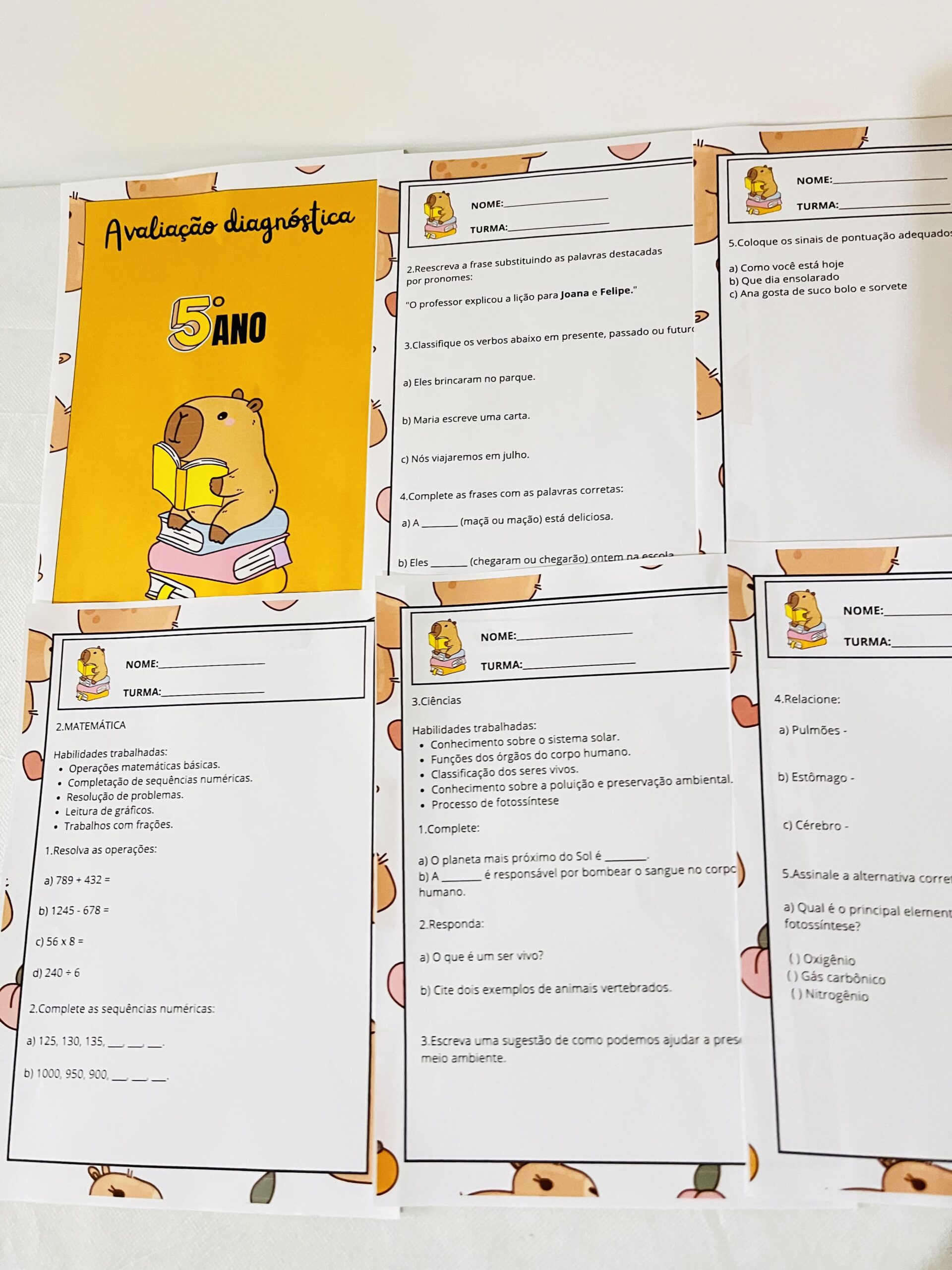 Avaliação diagnóstica 5° ano – PDF para Imprimir | 5º ano — amostra 1: Sobre o AVALIAÇÃO DIAGNÓSTICA 5° ANO