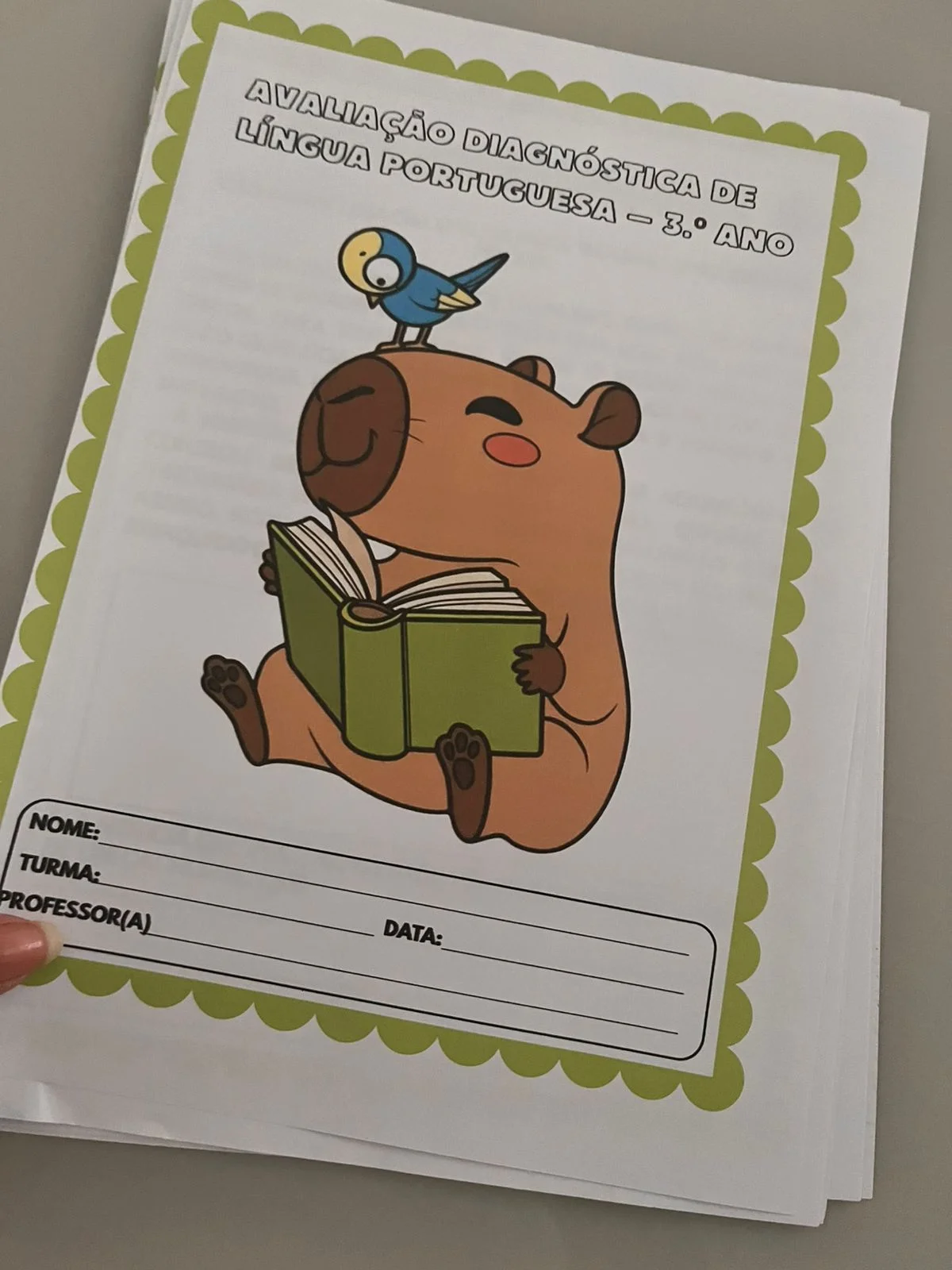 Avaliação Diagnóstica de Português 3º Ano — Alfabetização para 3º ano: Avaliação diagnóstica de Língua Portuguesa para o 3º…