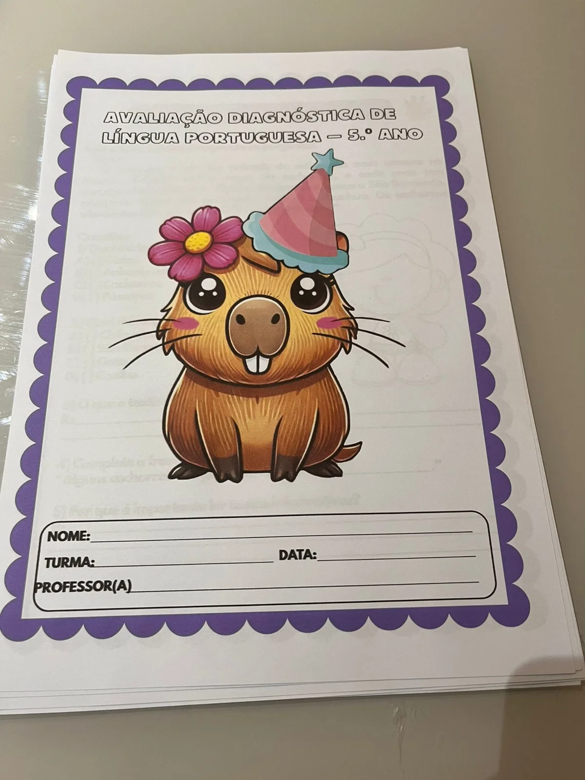 Avaliação Diagnóstica de Português 5º Ano — capa do material