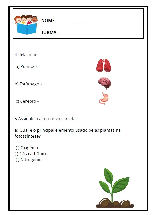 ✅Avaliação Diagnóstica do 5º Ano - ENSINO FUNDAMENTAL — amostra 4: Garanta uma visão clara do desempenho dos seus alunos…