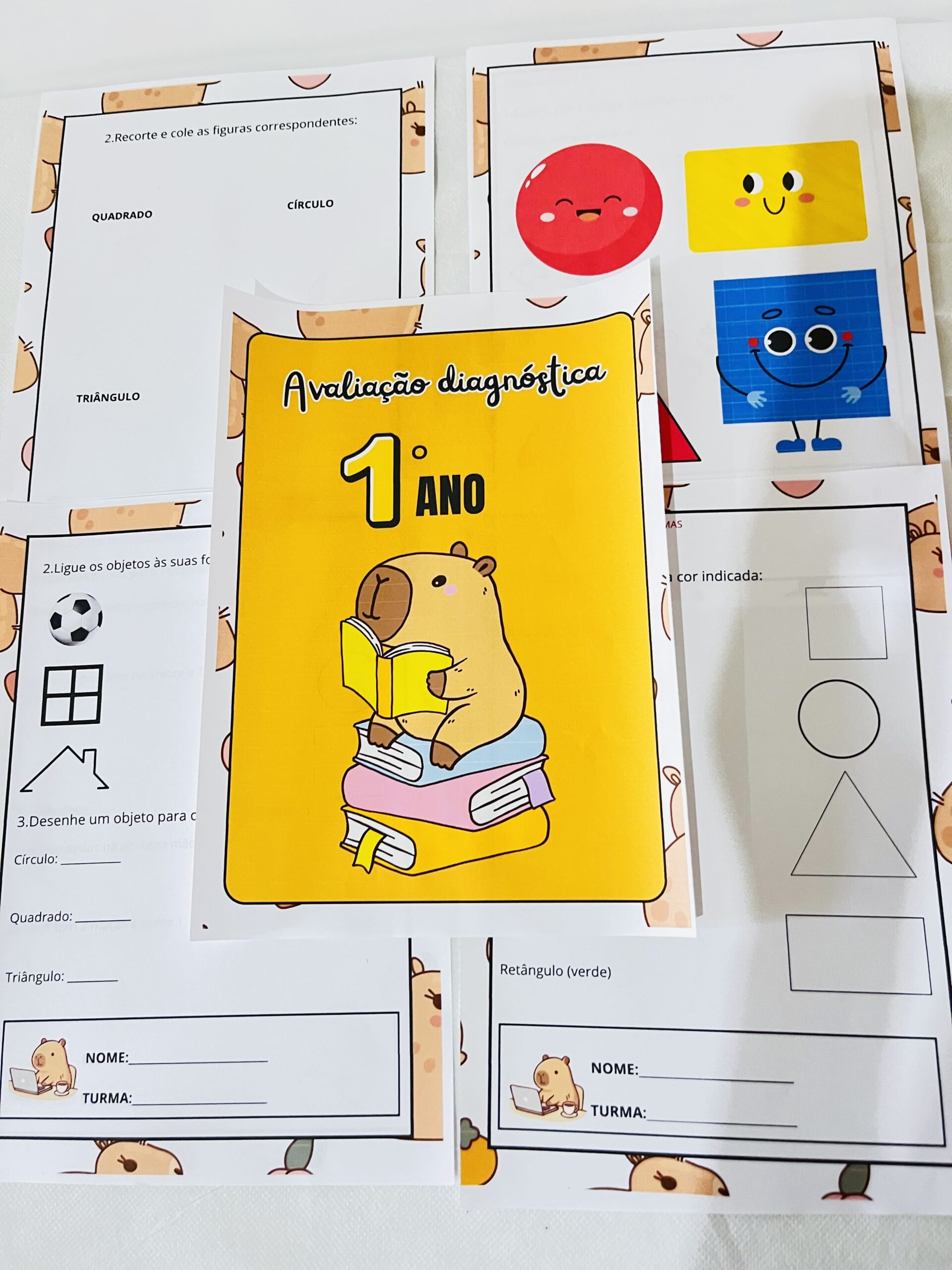 Avaliação diagnóstica para 1º ano – PDF para Imprimir — amostra 2: Para quem é indicado