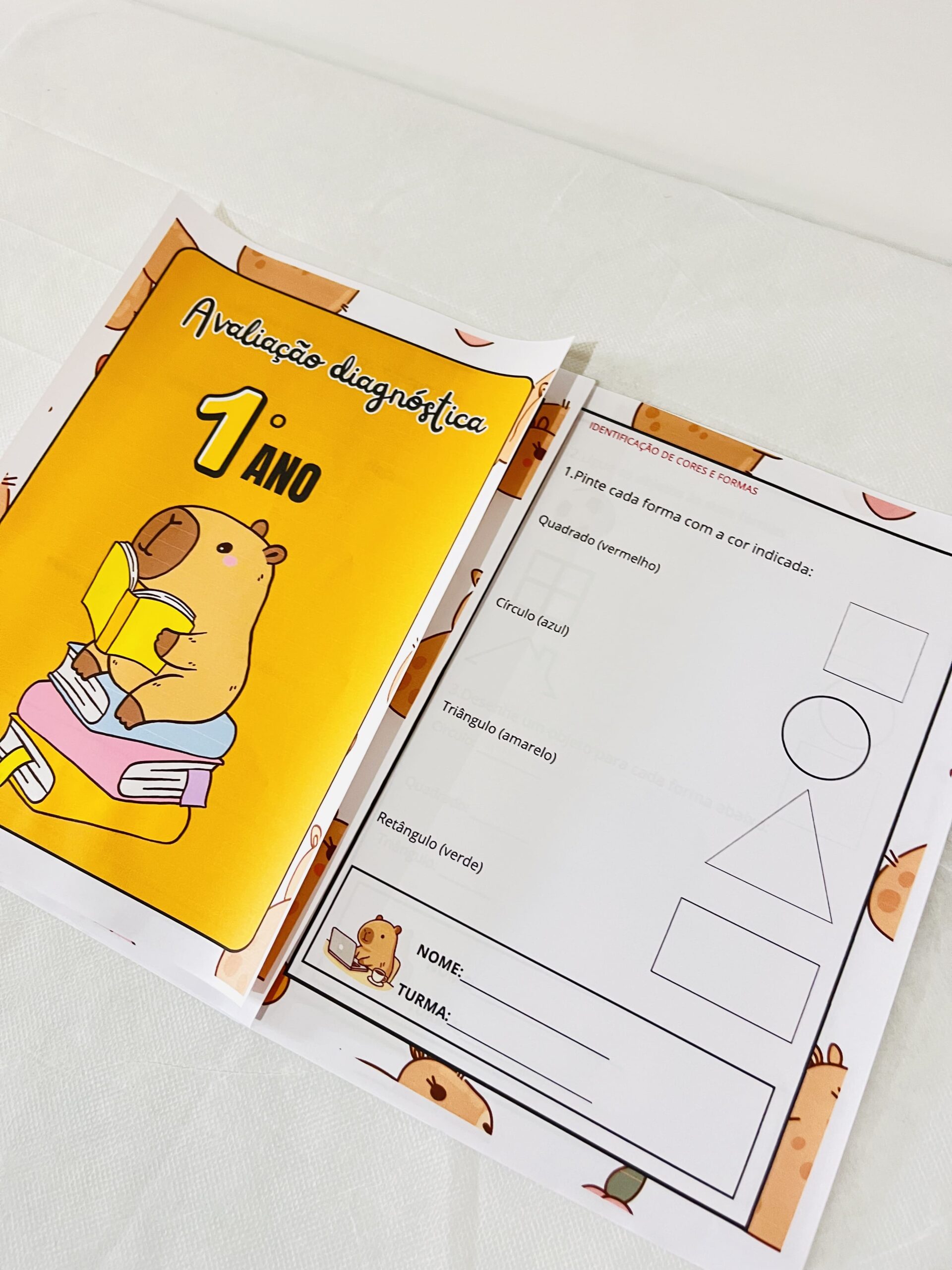 Avaliação diagnóstica para 1º ano – PDF para Imprimir — capa do material