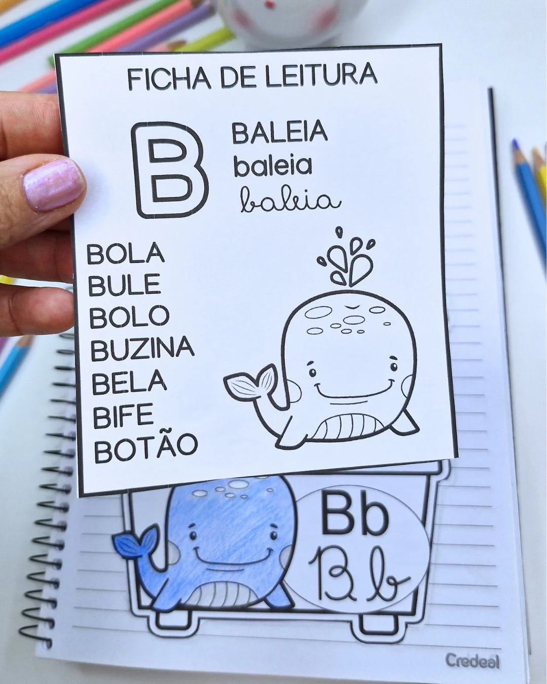Barraquinha das Sílabas: Alfabetização em PDF — amostra 5: Material de alfabetização com famílias silábicas, fichas de…