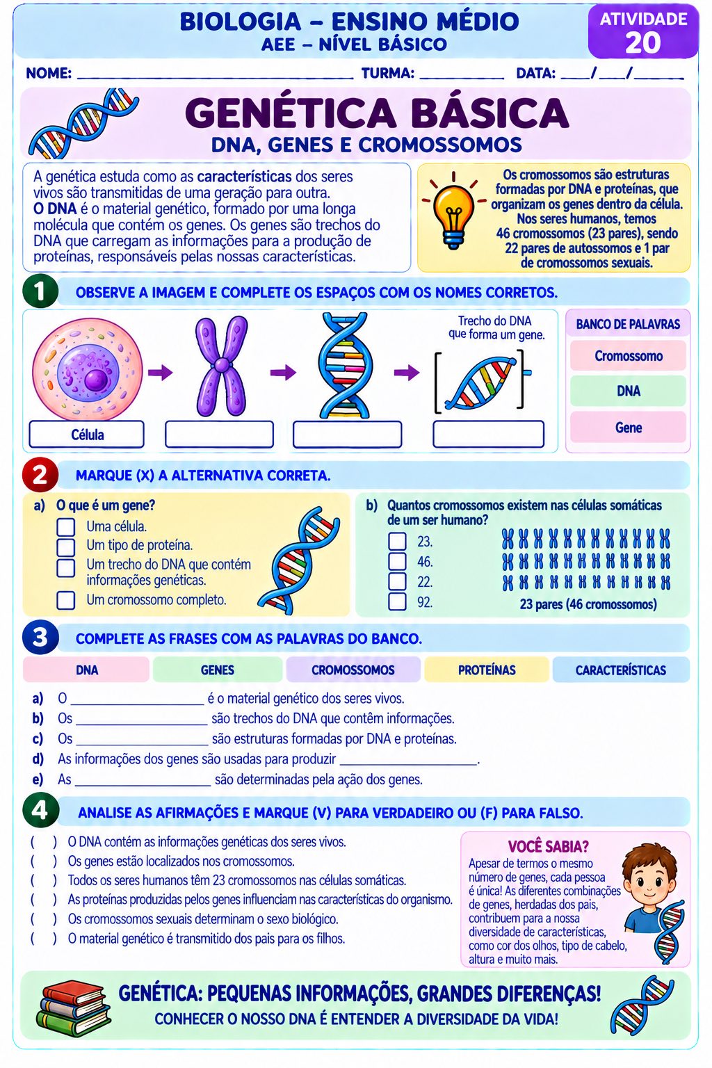 Biologia em Ação: 20 Atividades Adaptadas para o Ensino Médio – AEE — amostra 4: 20 atividades adaptadas de Biologia para…