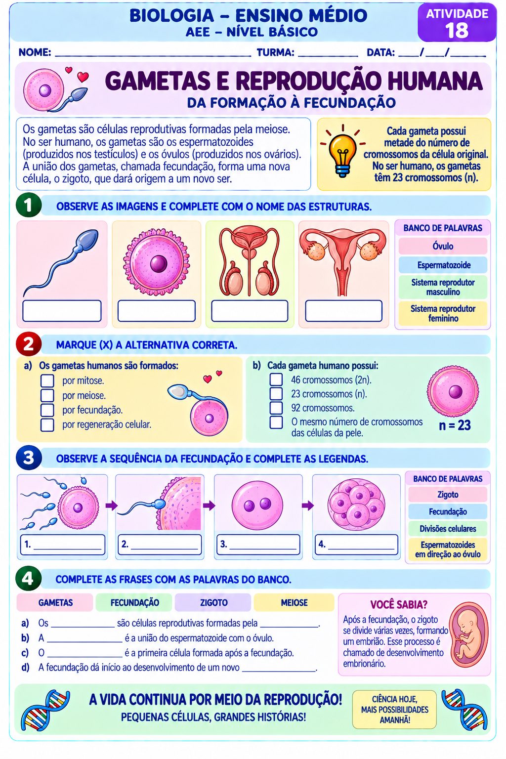 Biologia em Ação: 20 Atividades Adaptadas para o Ensino Médio – AEE — amostra 6: 20 atividades adaptadas de Biologia para…