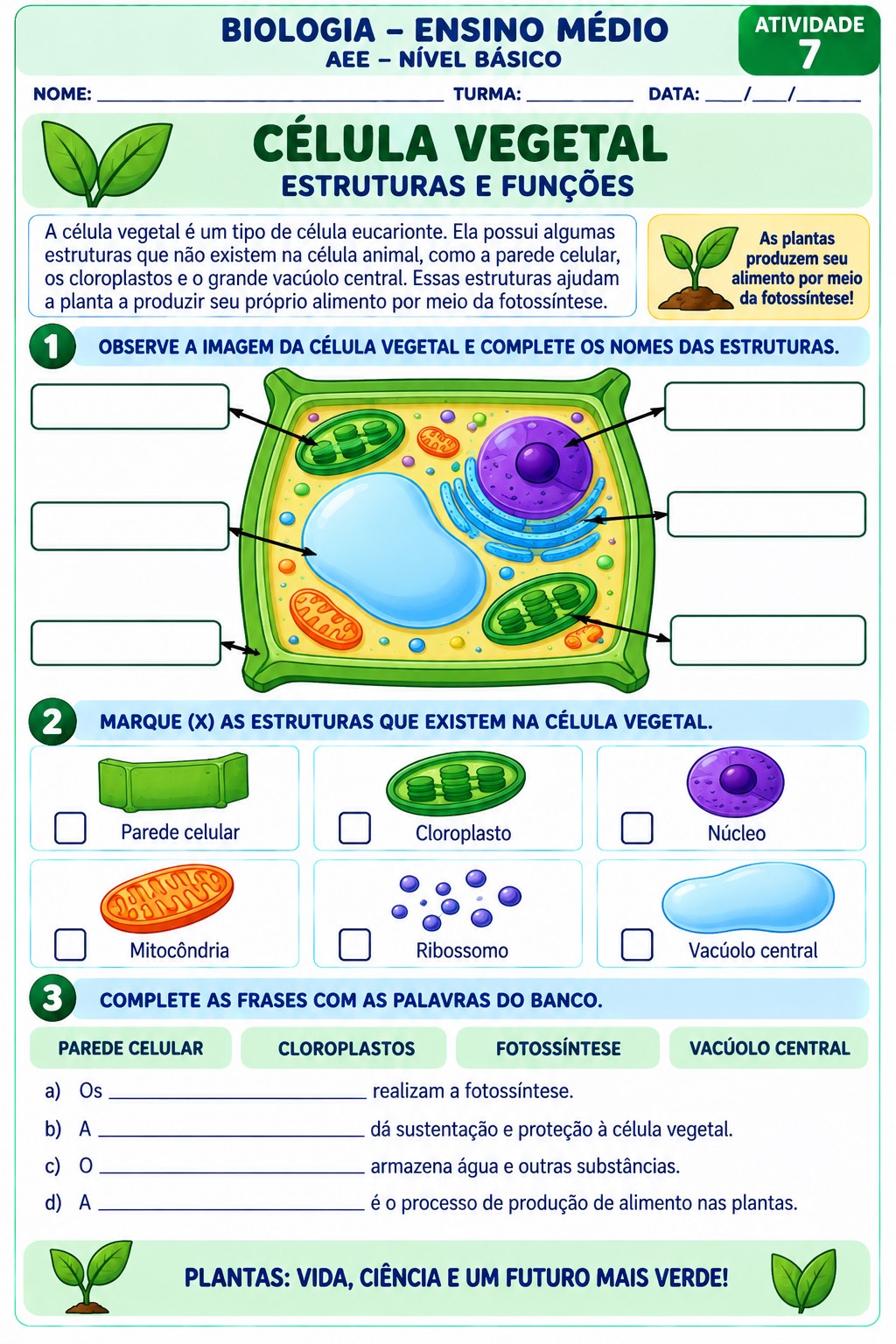 Biologia em Ação: 20 Atividades Adaptadas para o Ensino Médio – AEE — amostra 7: 20 atividades adaptadas de Biologia para…