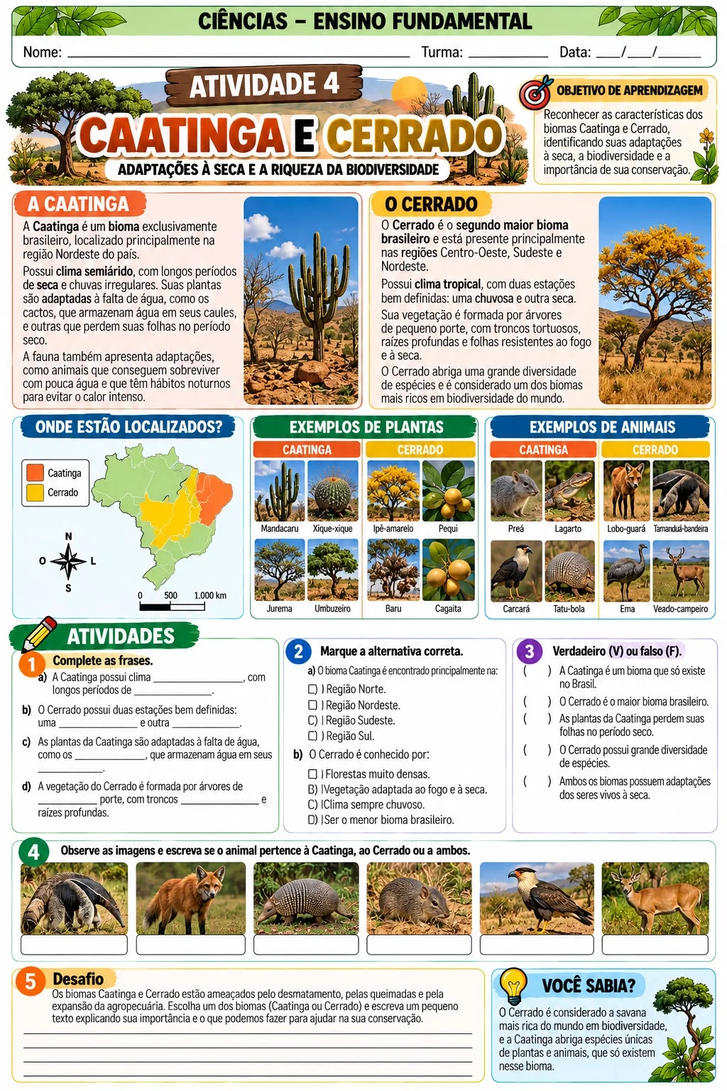 Biomas Brasileiros: Apostila de Ciências para Ensino Fundamental — amostra 1: Apostila Biomas Brasileiros – Ciências para…