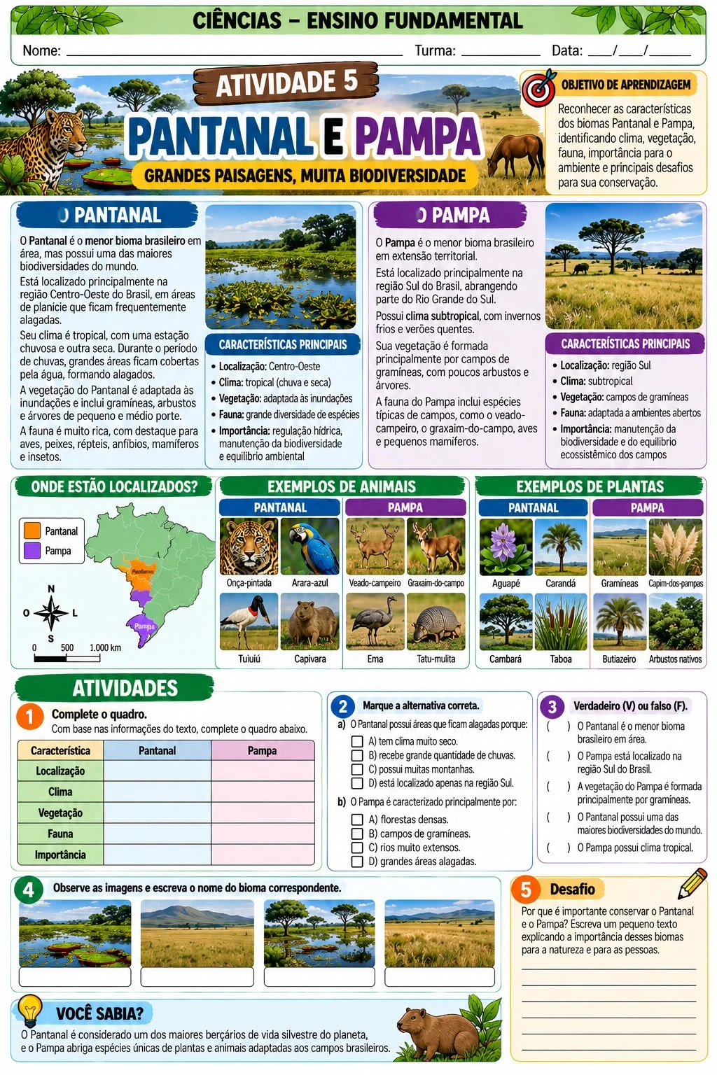 Biomas Brasileiros: Apostila de Ciências para Ensino Fundamental — amostra 7: Apostila de Ciências sobre os biomas…