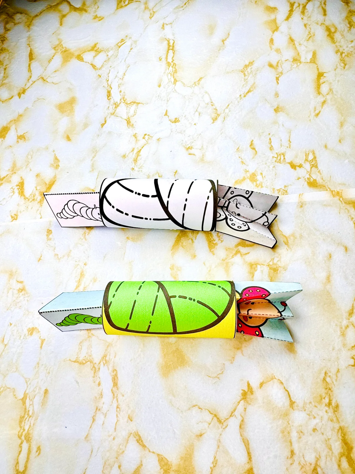 Bracelete o ciclo da Borboleta - Primavera — amostra 1: "🦋✨ Aprenda sobre o Ciclo da Borboleta de forma divertida e…