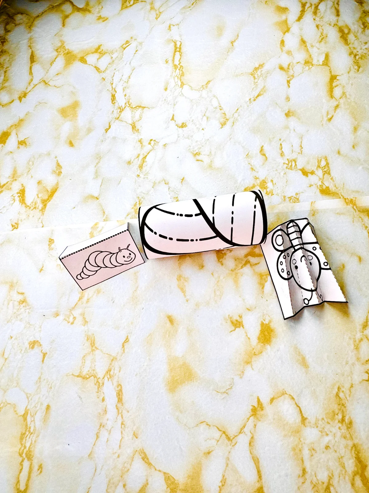 Bracelete o ciclo da Borboleta - Primavera — amostra 2: "🦋✨ Aprenda sobre o Ciclo da Borboleta de forma divertida e…