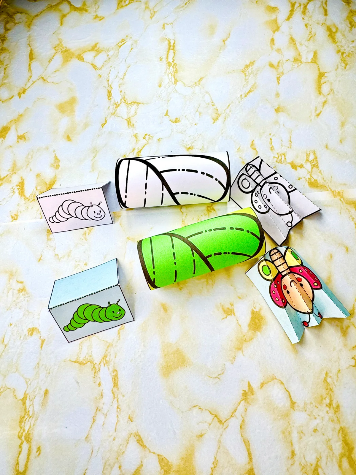 Bracelete o ciclo da Borboleta - Primavera — Alfabetização para Educação Infantil: "🦋✨ Aprenda sobre o Ciclo da Borboleta…