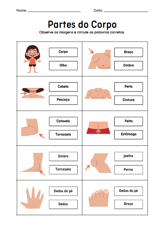 🧍‍♀️🌱 CADERNO DE ATIVIDADES ALFABETIZAÇÃO INICIAL — amostra 1: Aprender sobre o corpo humano e o mundo ao nosso redor…