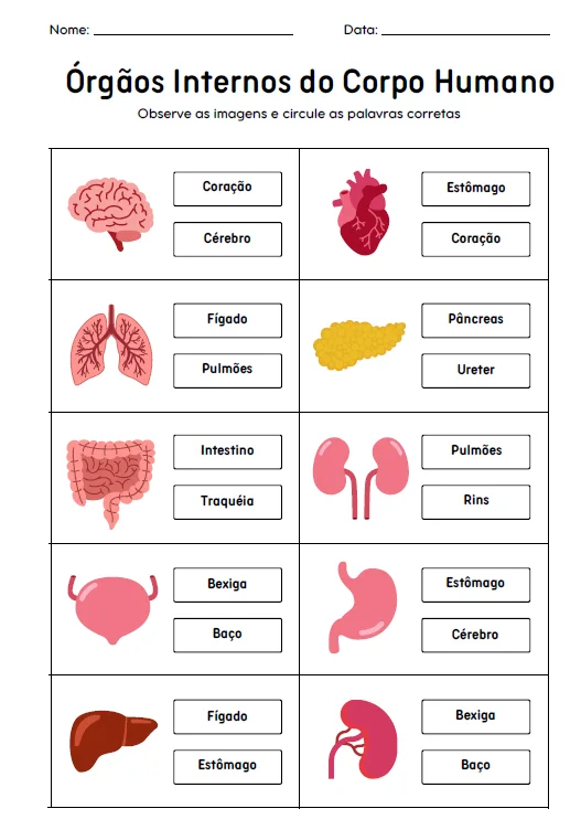 🧍‍♀️🌱 CADERNO DE ATIVIDADES ALFABETIZAÇÃO INICIAL — amostra 4: Aprender sobre o corpo humano e o mundo ao nosso redor…