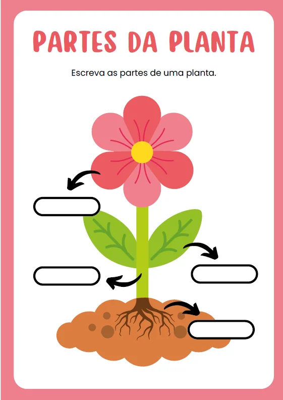 🧍‍♀️🌱 CADERNO DE ATIVIDADES ALFABETIZAÇÃO INICIAL — amostra 5: Aprender sobre o corpo humano e o mundo ao nosso redor…