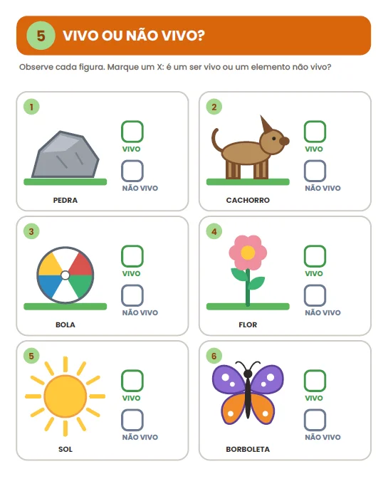 CADERNO DE ATIVIDADES: SERES VIVOS E ELEMENTOS NÃO VIVOS- CIENCIAS — amostra 7: Com o Caderno de Atividades – Seres Vivos e…