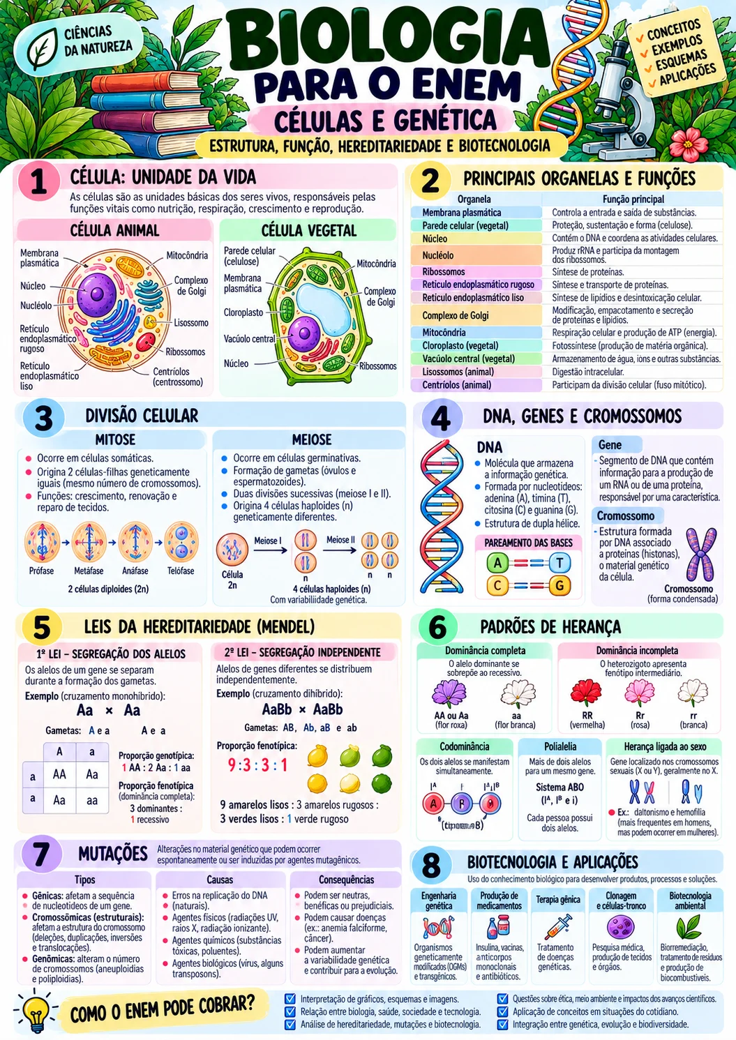 Revisão Estudos ENEM 2º Dia – Resumos Visuais PDF — amostra 1: Caderno de Estudos para o ENEM – 2º Dia | Resumos Visuais em…