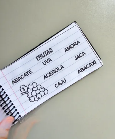 Caderno de Leitura ( Frases) | Alfabetização — amostra 2: Para quem é indicado