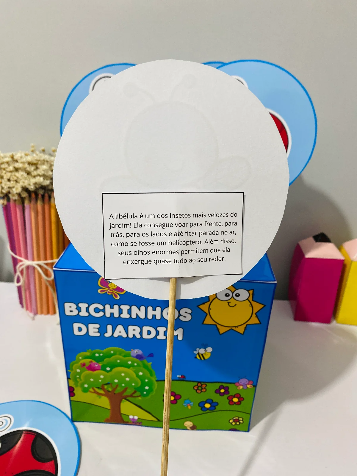 Caixa bichinhos de jardim atividade educação infantil contação de história PDF para imprimir — amostra 4: Um recurso lúdico…